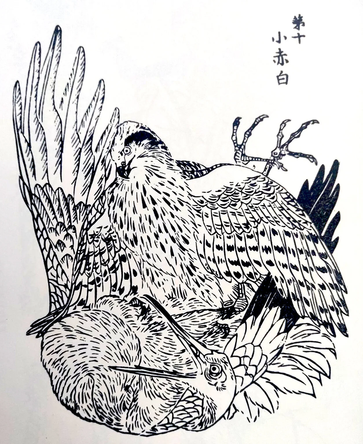 Goshawk on crane.  From Ehon Taka Kagami.  