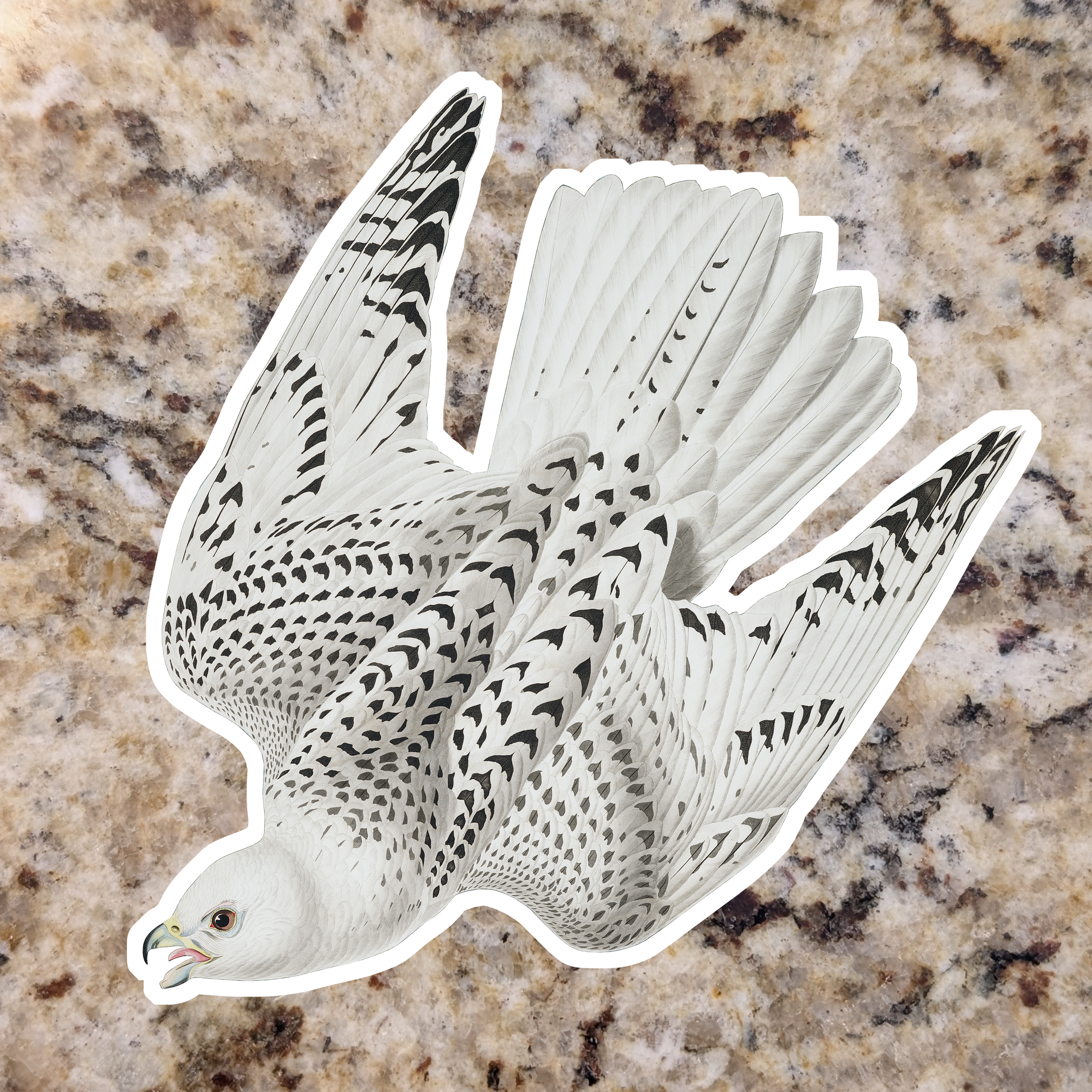 Gyrfalcon (White).png