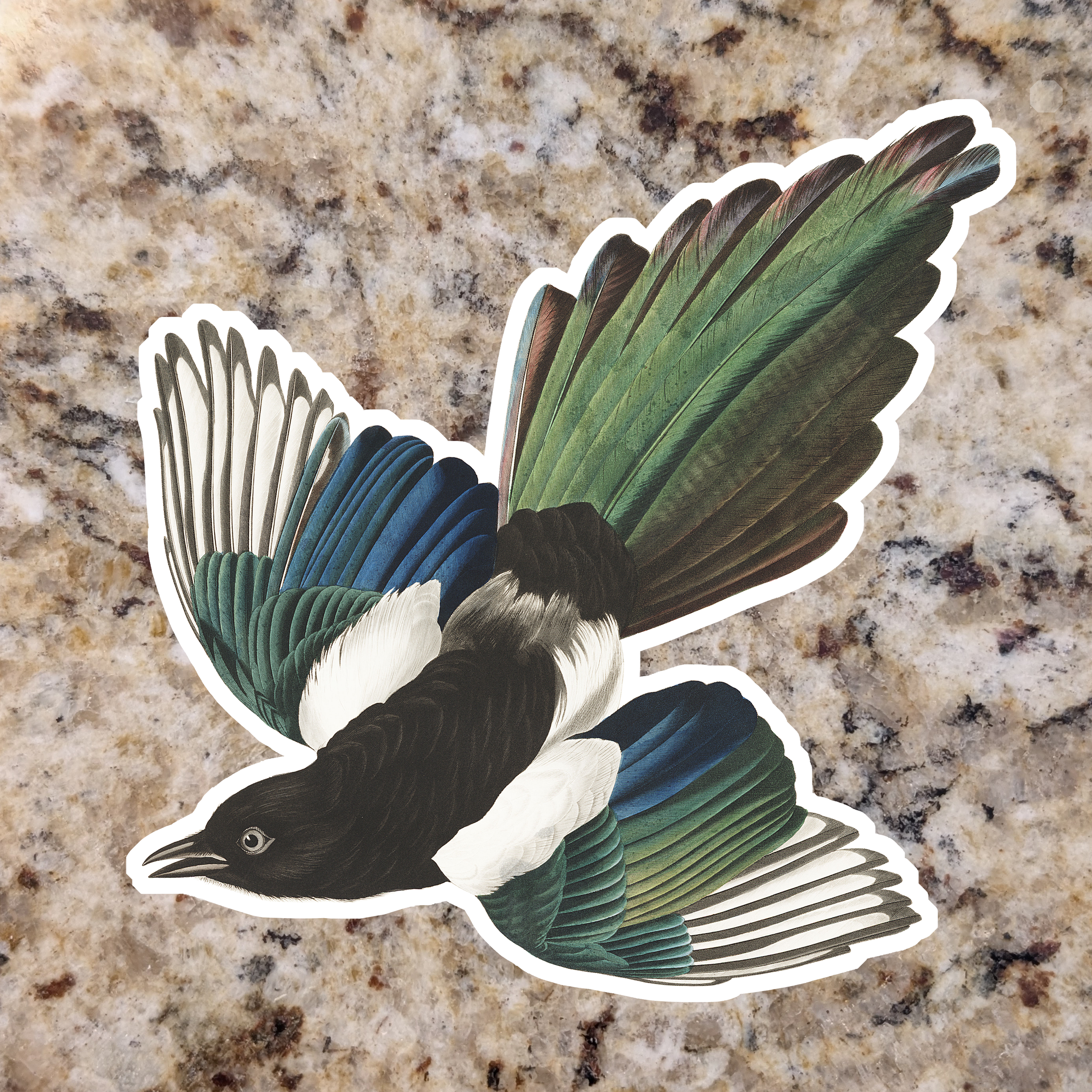 Magpie.png