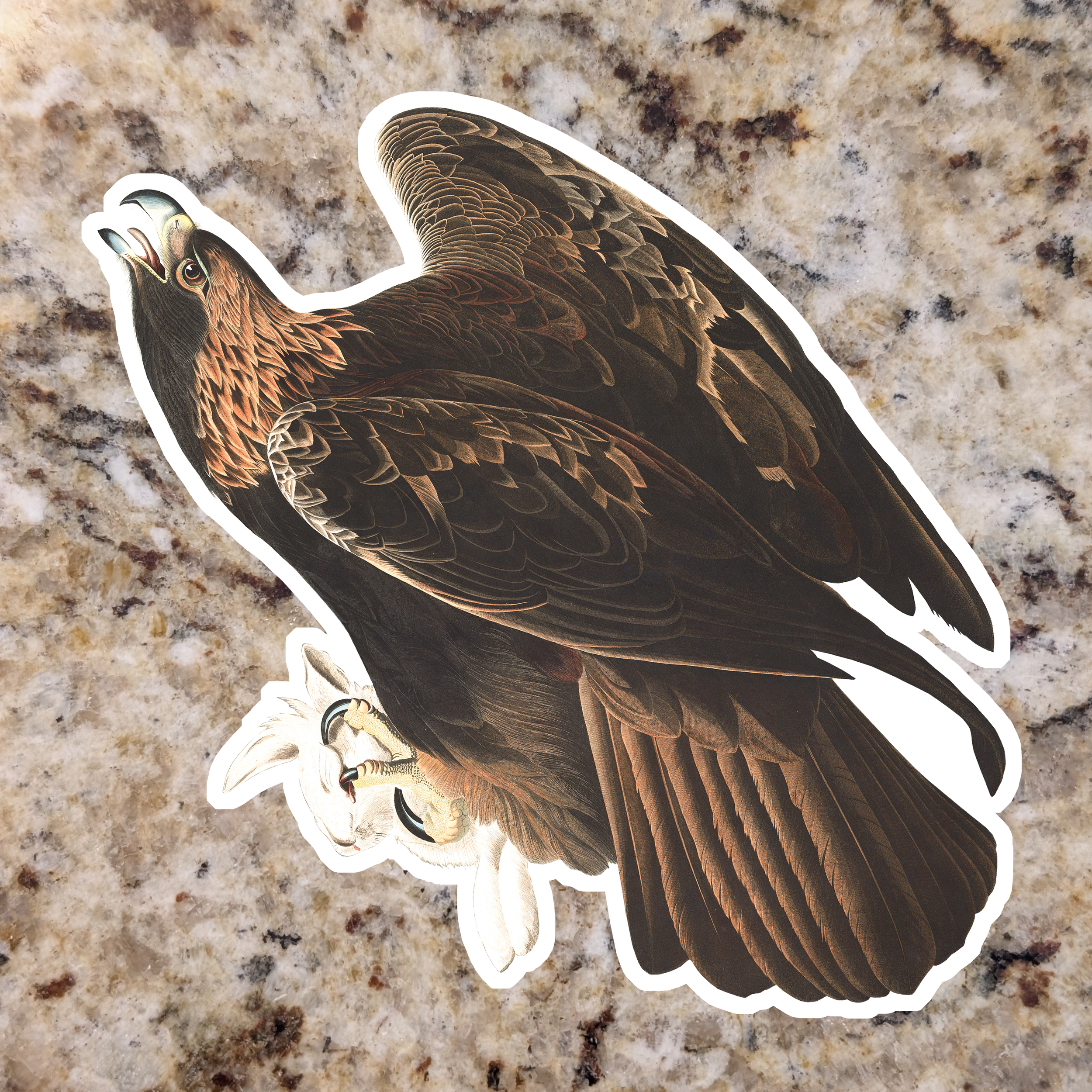 Golden Eagle.png