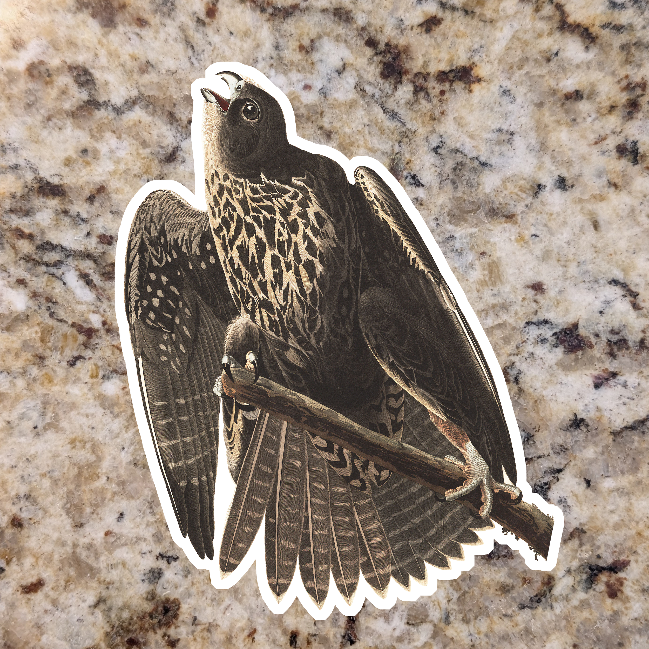 Gurfalcon (Black).png