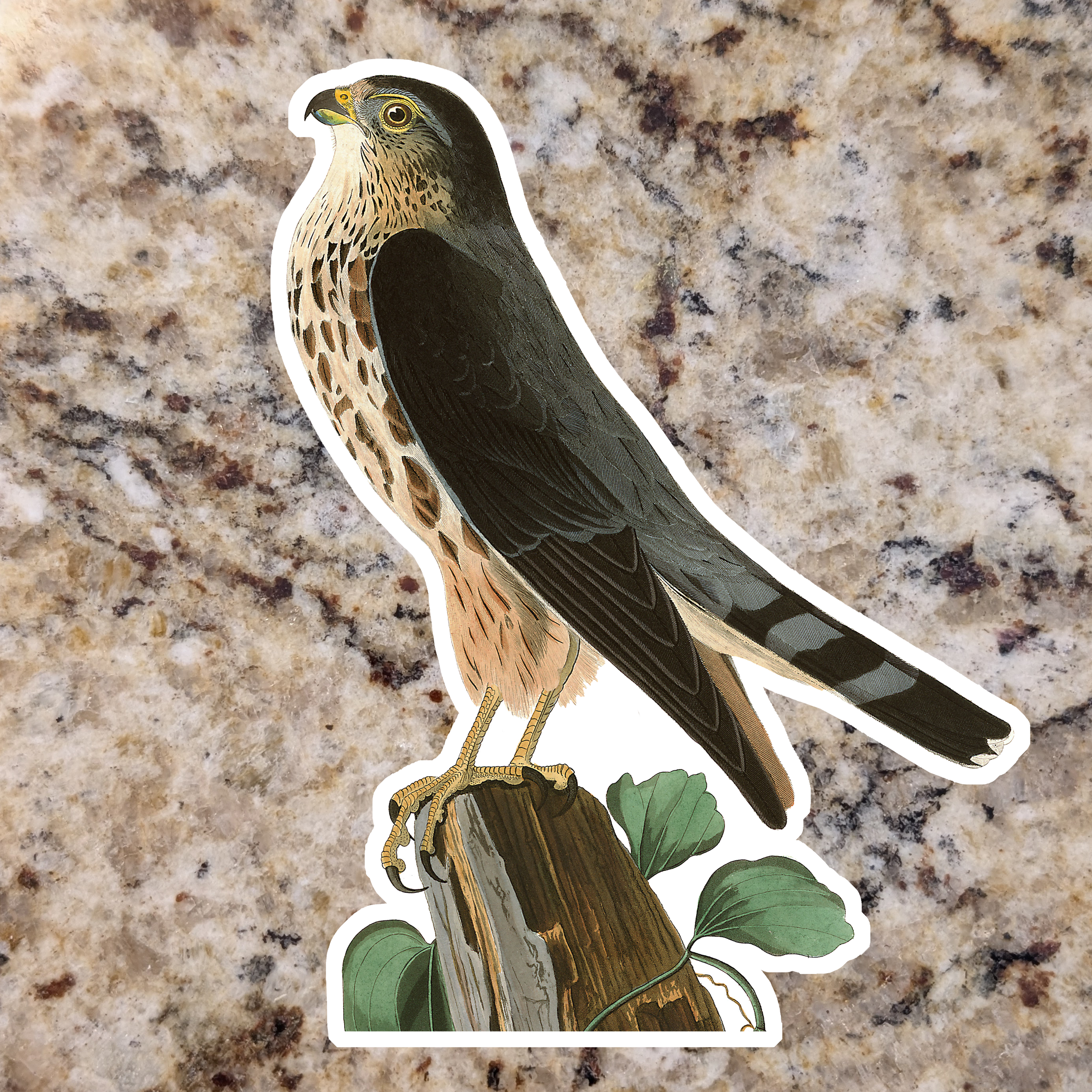 Merlin (Standing).png