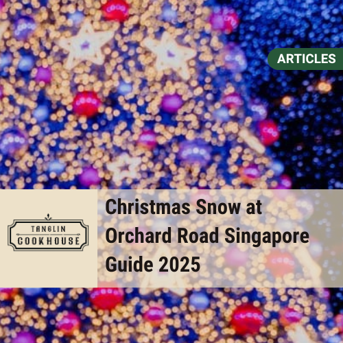 Christmas Snow at Orchard Road Singapore Guide 2025