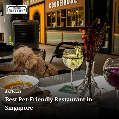 Best Pet-Friendly Restaurant in Singapore