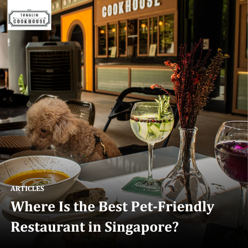 Where Is the Best Pet-Friendly Restaurant in Singapore?
