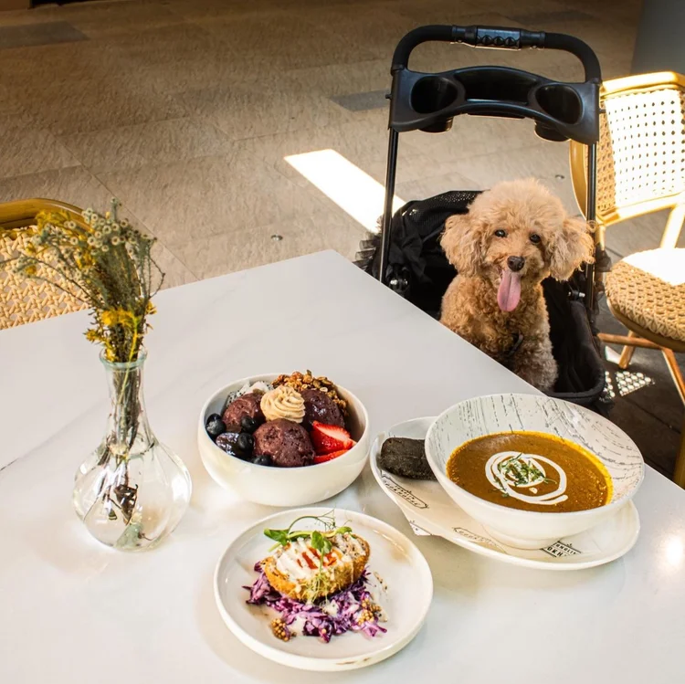 Best Pet Friendly Cafe Singapore
