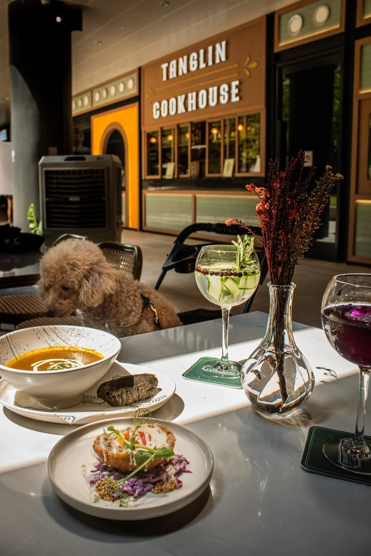 Pet Friendly Restaurant Singapore Tanglin Cookhouse
