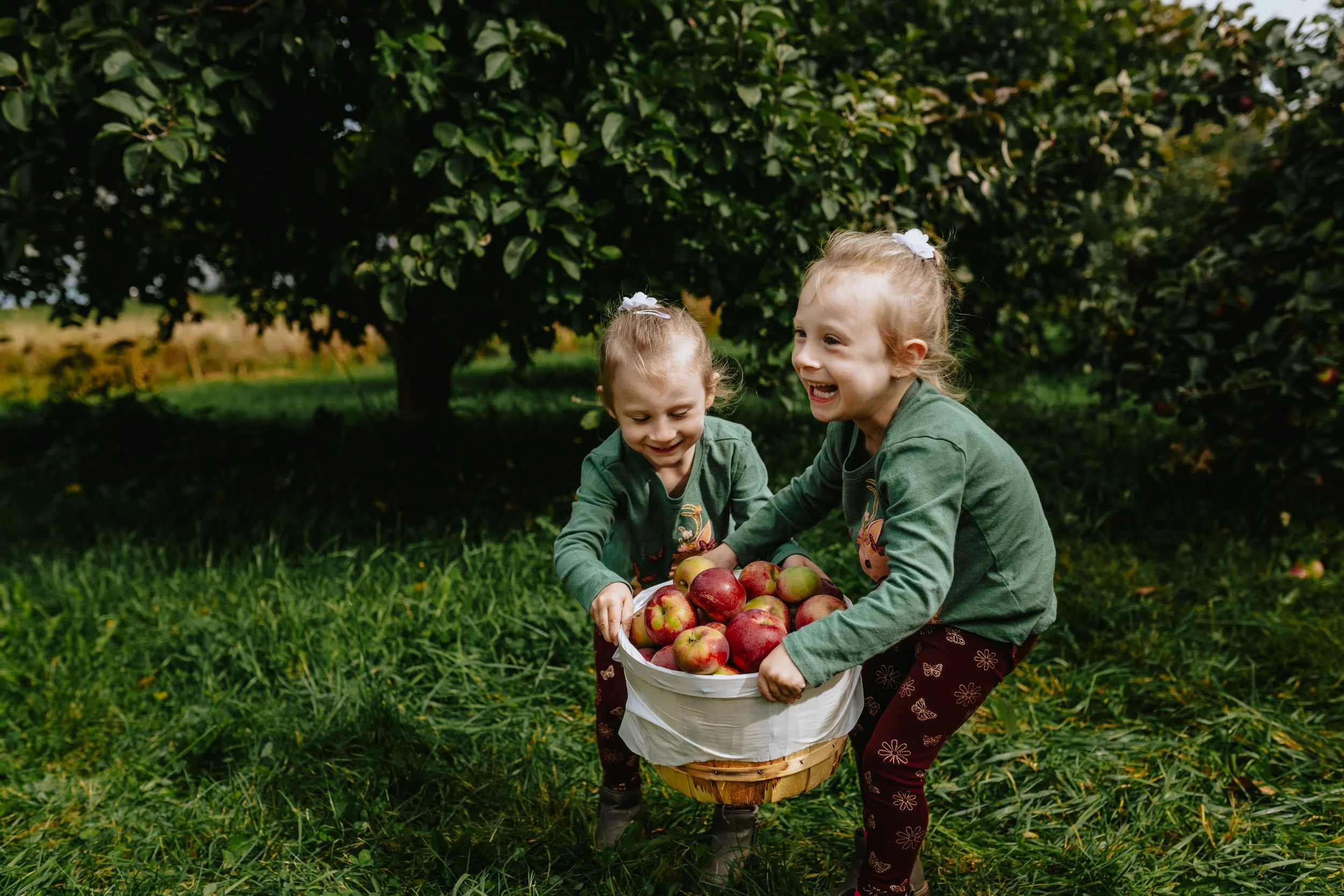 Peree_apple_42.jpg