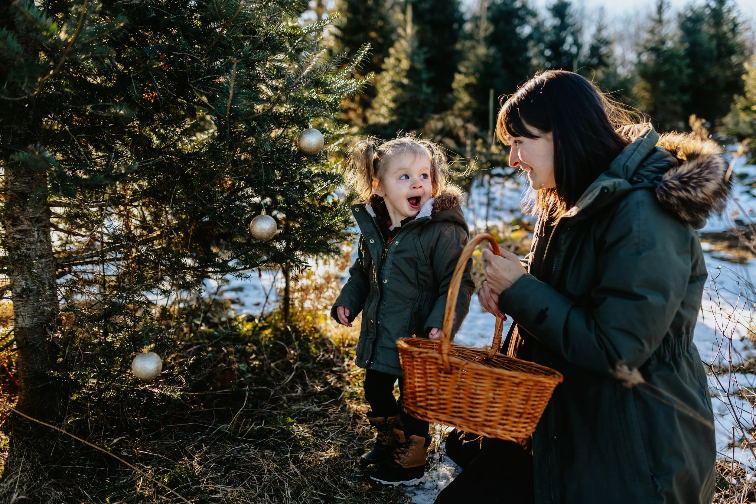 A woman and child in winter coats looking at a decorated Christmas tree outdoors, with a wicker basket.