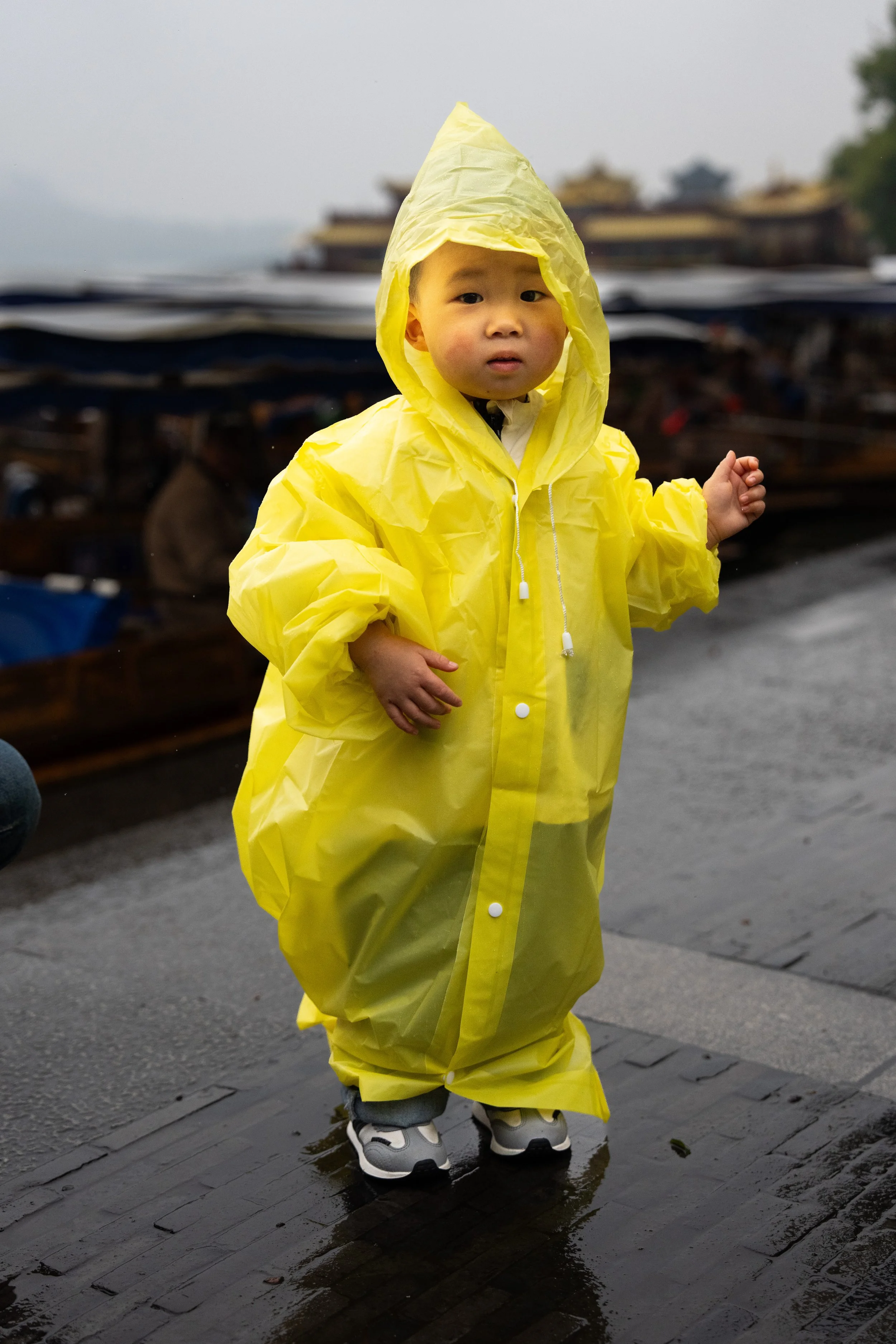Rainy Day in China, Hangzhou, West Lake, China 2025