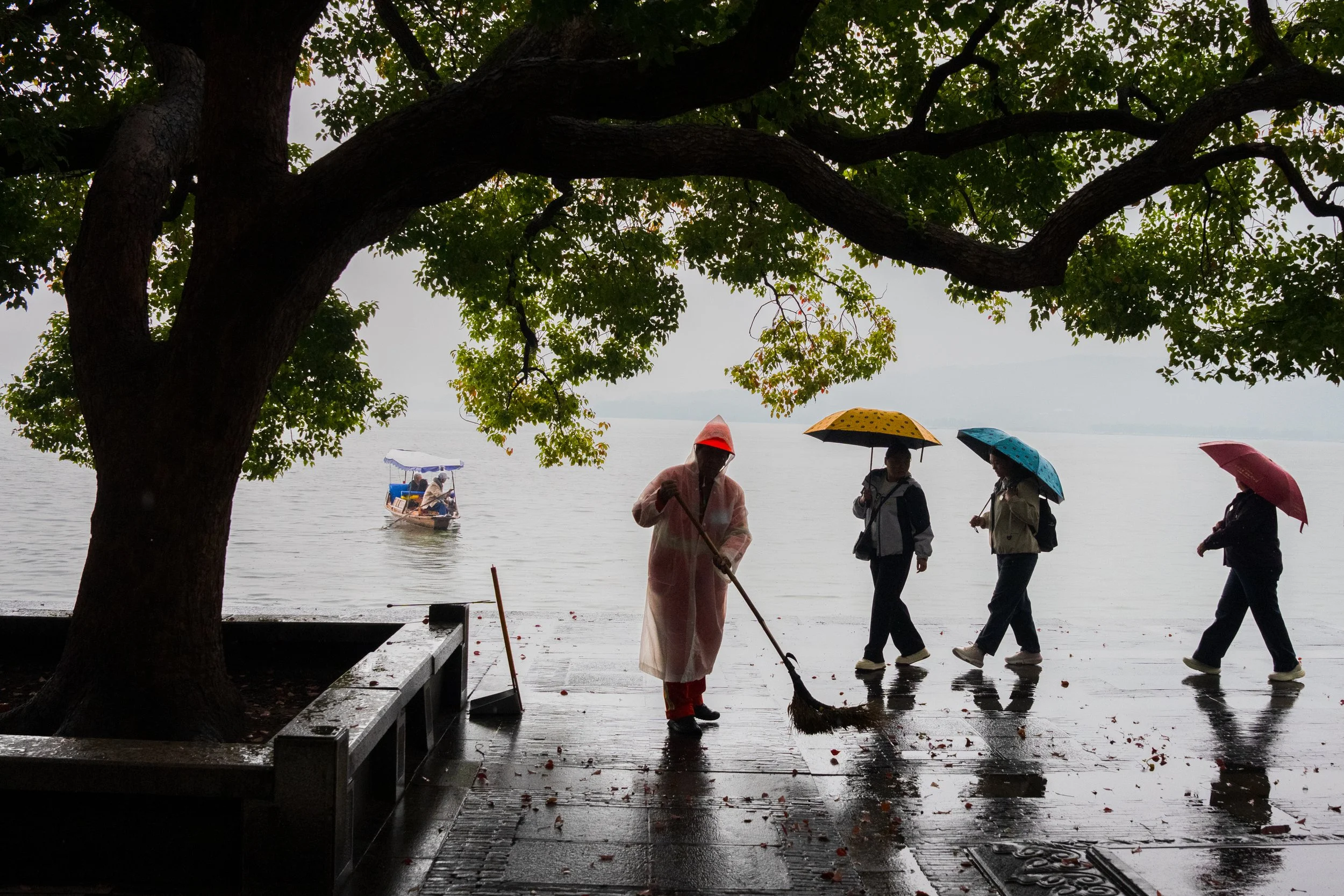 West Lake Rain, Hangzhou, West Lake, China 2025