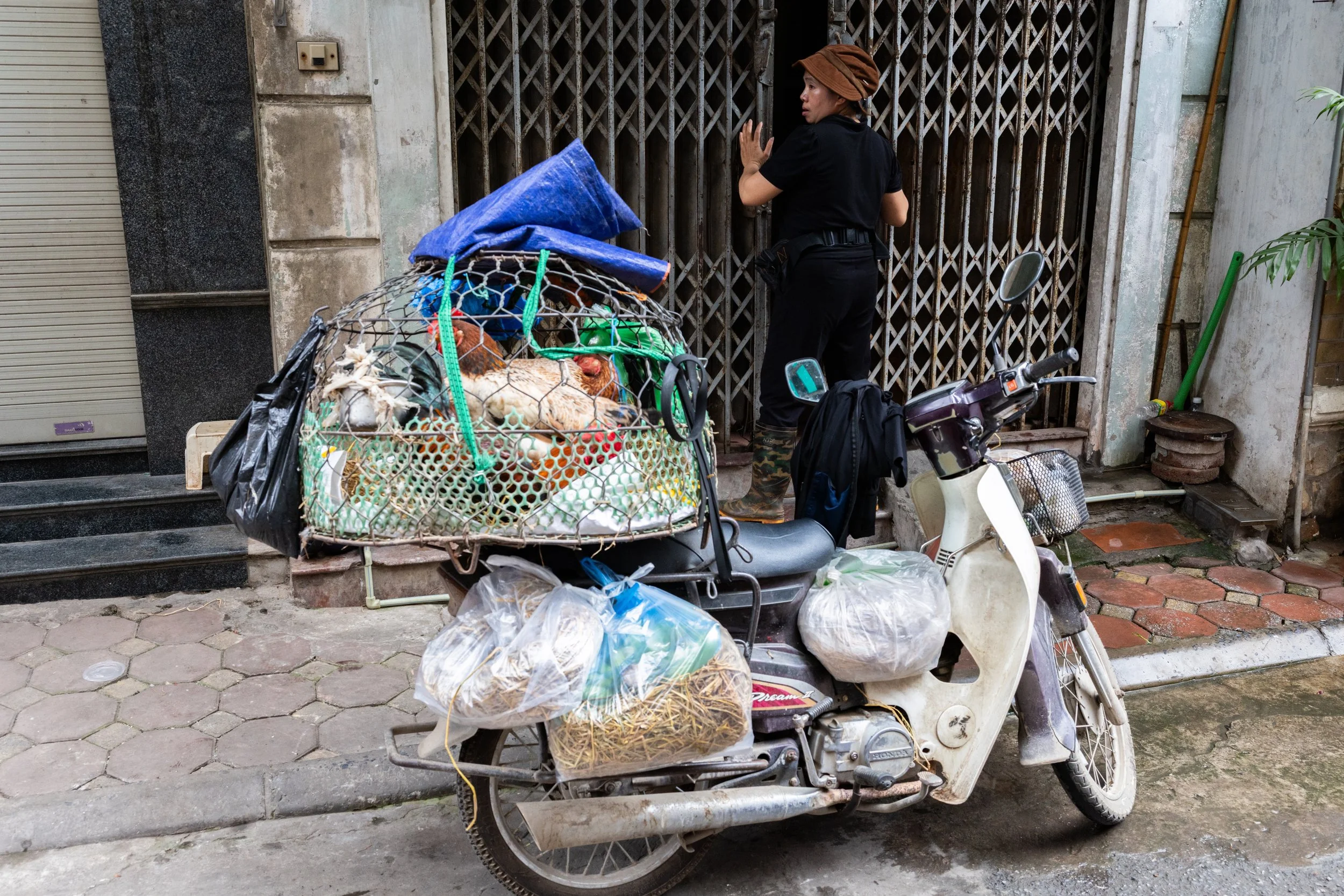 Chicken Carrier, China 2025