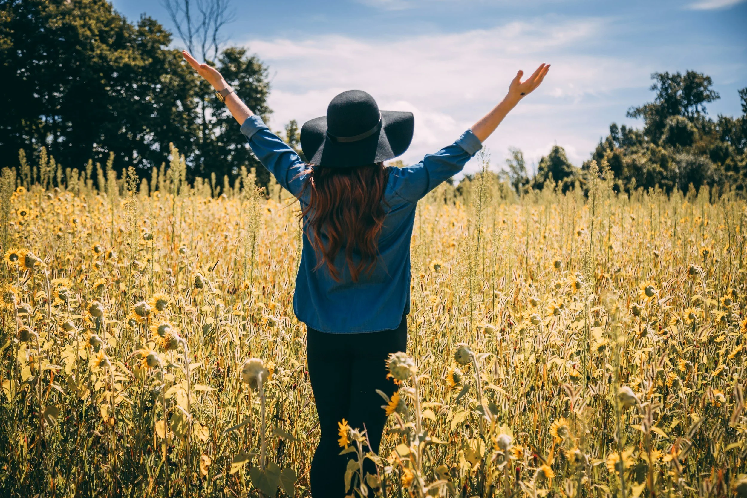 The Spiritual Power of Completion, Gratitude, and Creative Dedication