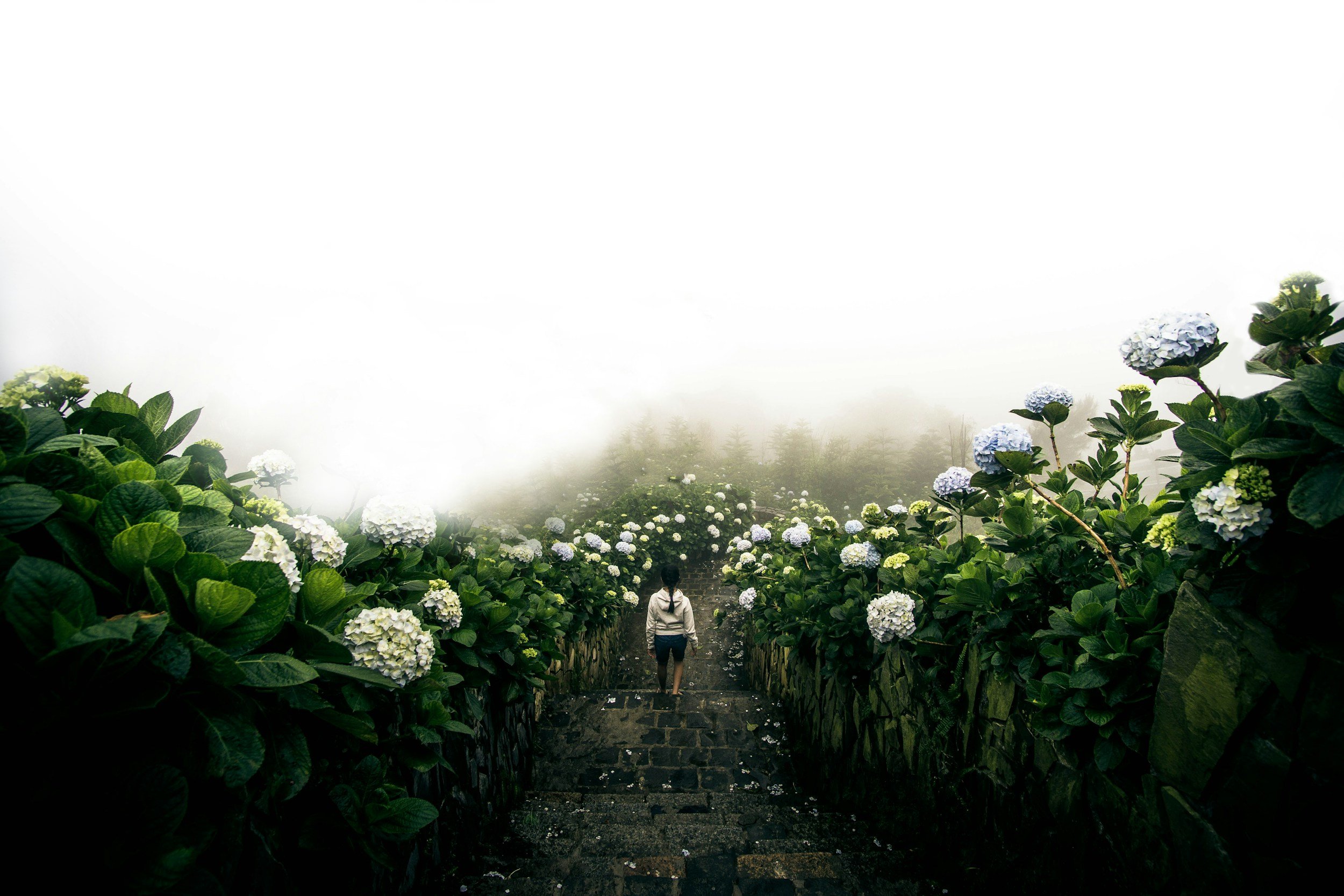 The Garden of Your Mind