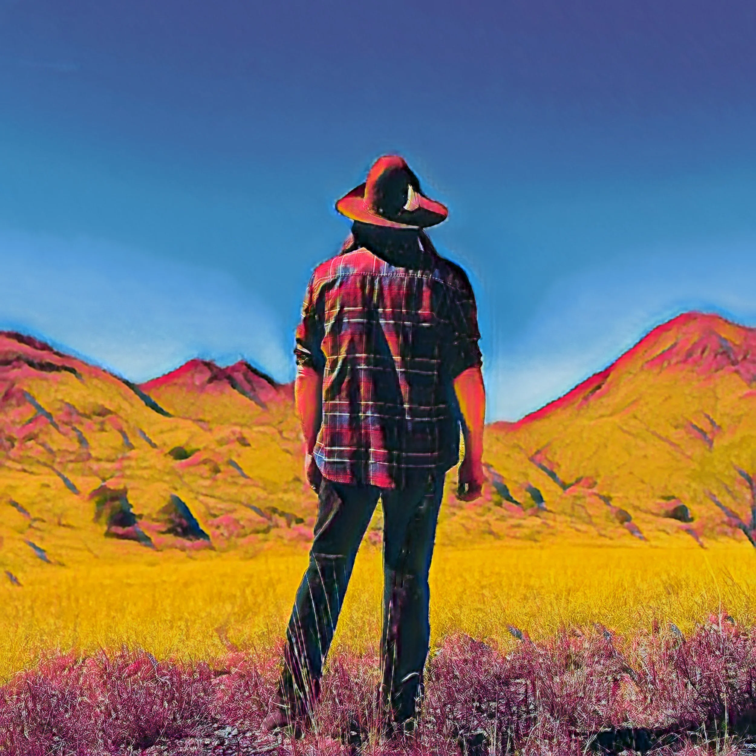 The Trail Packshot.JPEG