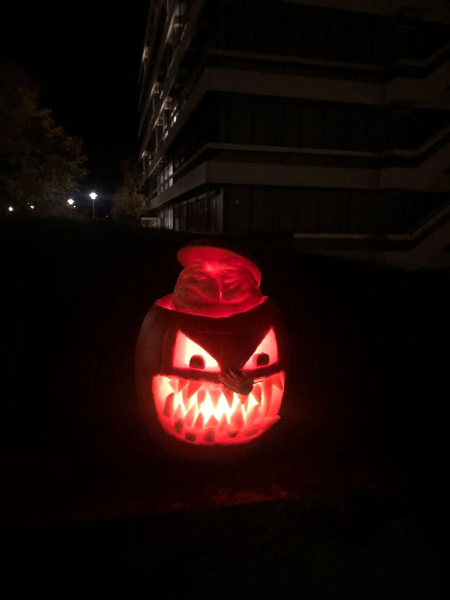 Pumpkin Contest 2024
