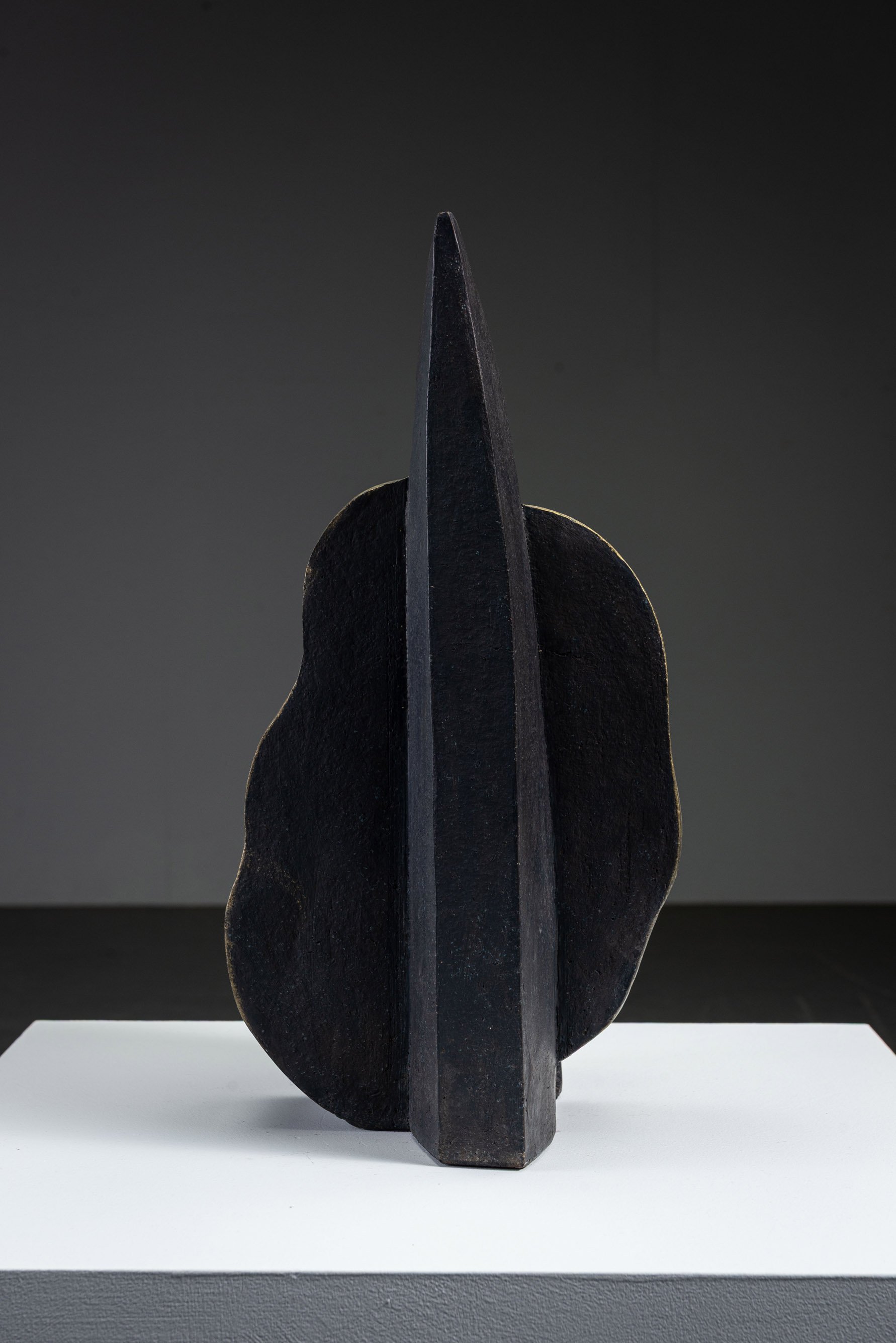 AR-1152026110237-Abstract-Sculpture-by-Cor-Dam-#5_06.jpg