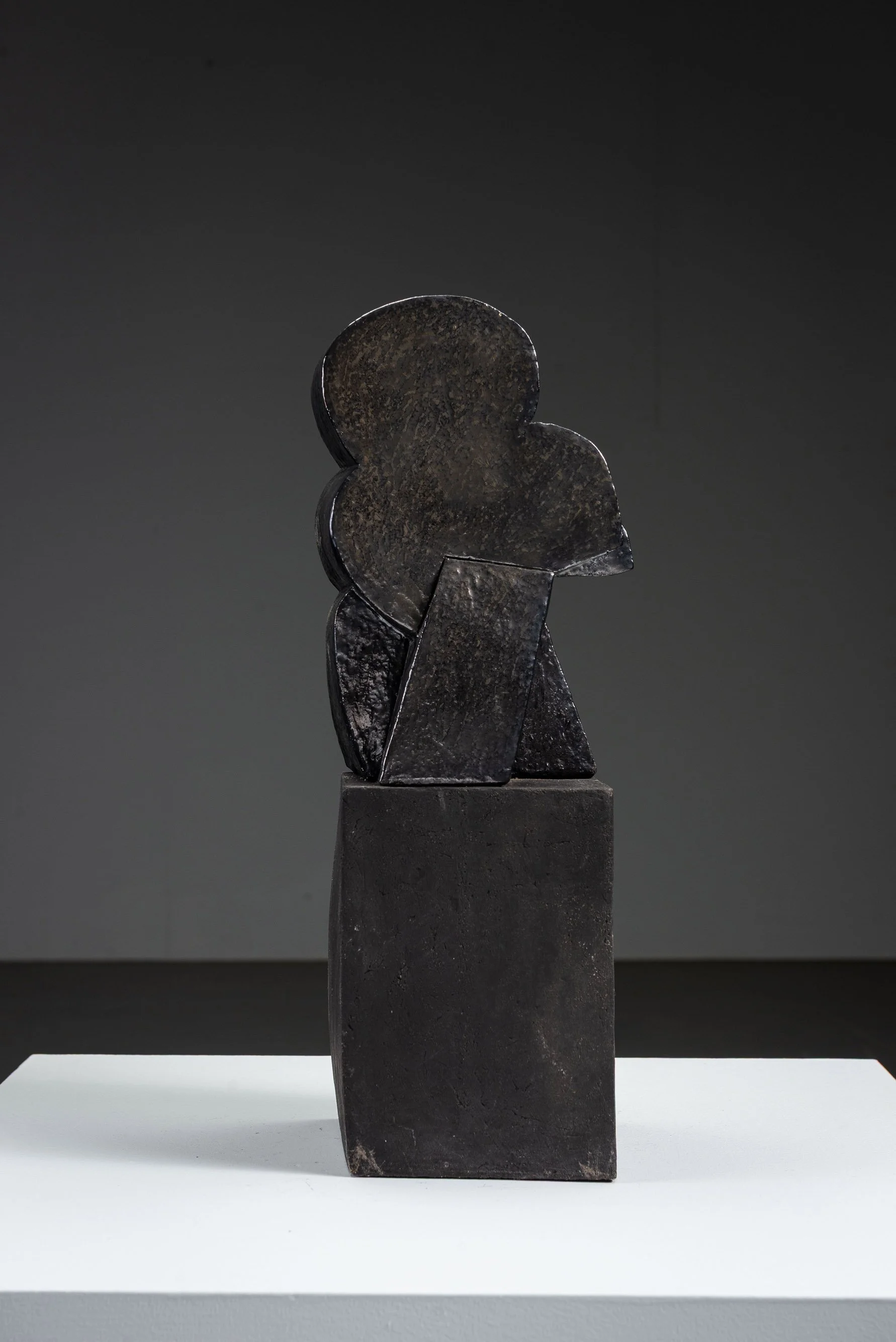 AR-1152026111859-Abstract-Sculpture-by-Cor-Dam-#8_03.jpg