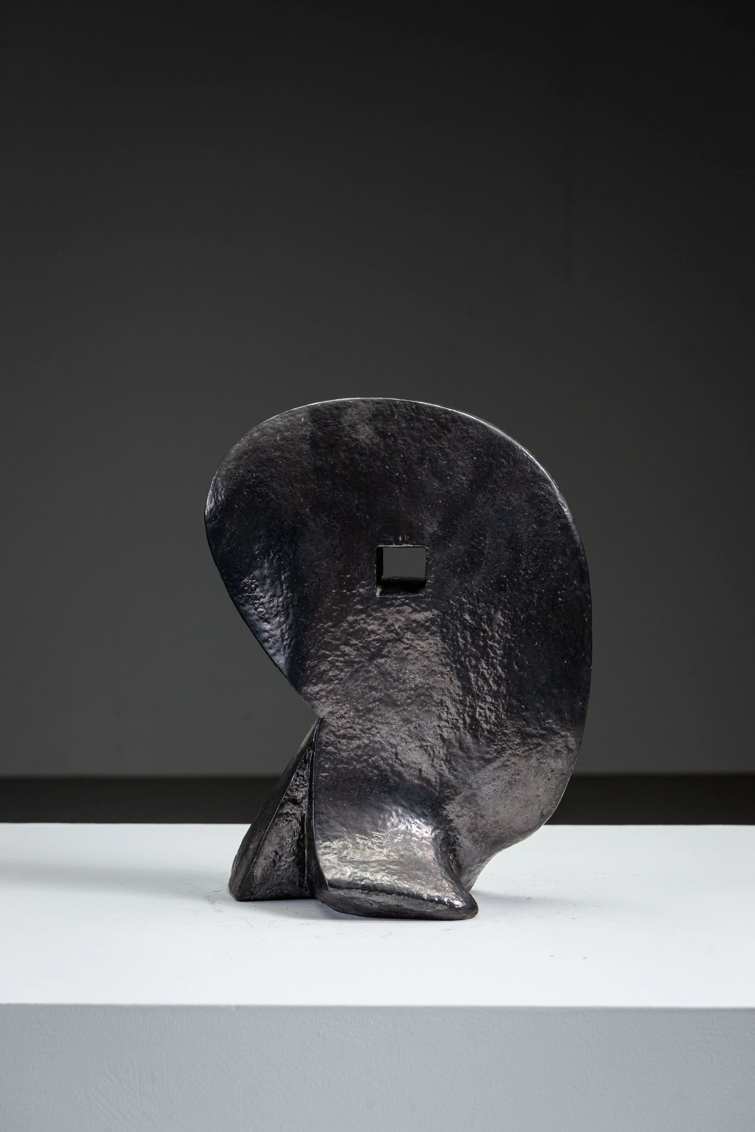 AR-1152026161550-Abstract-Sculpture-by-Cor-Dam-#26_03.jpg