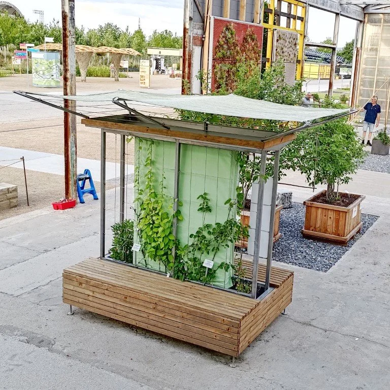 P_20230622_202410-01 (Mittel).jpeg