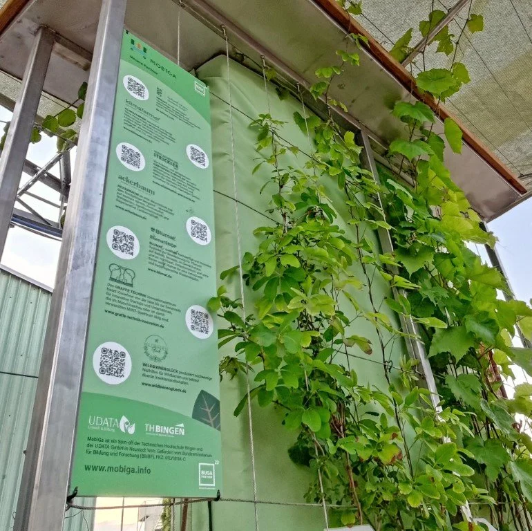 P_20230622_202317-01 (Mittel).jpeg