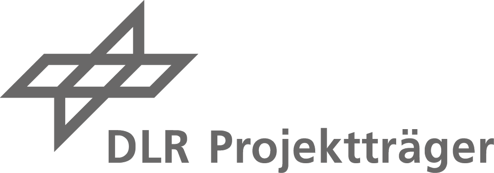 PT_DLR_Logo_GR_D_2018_lang.png