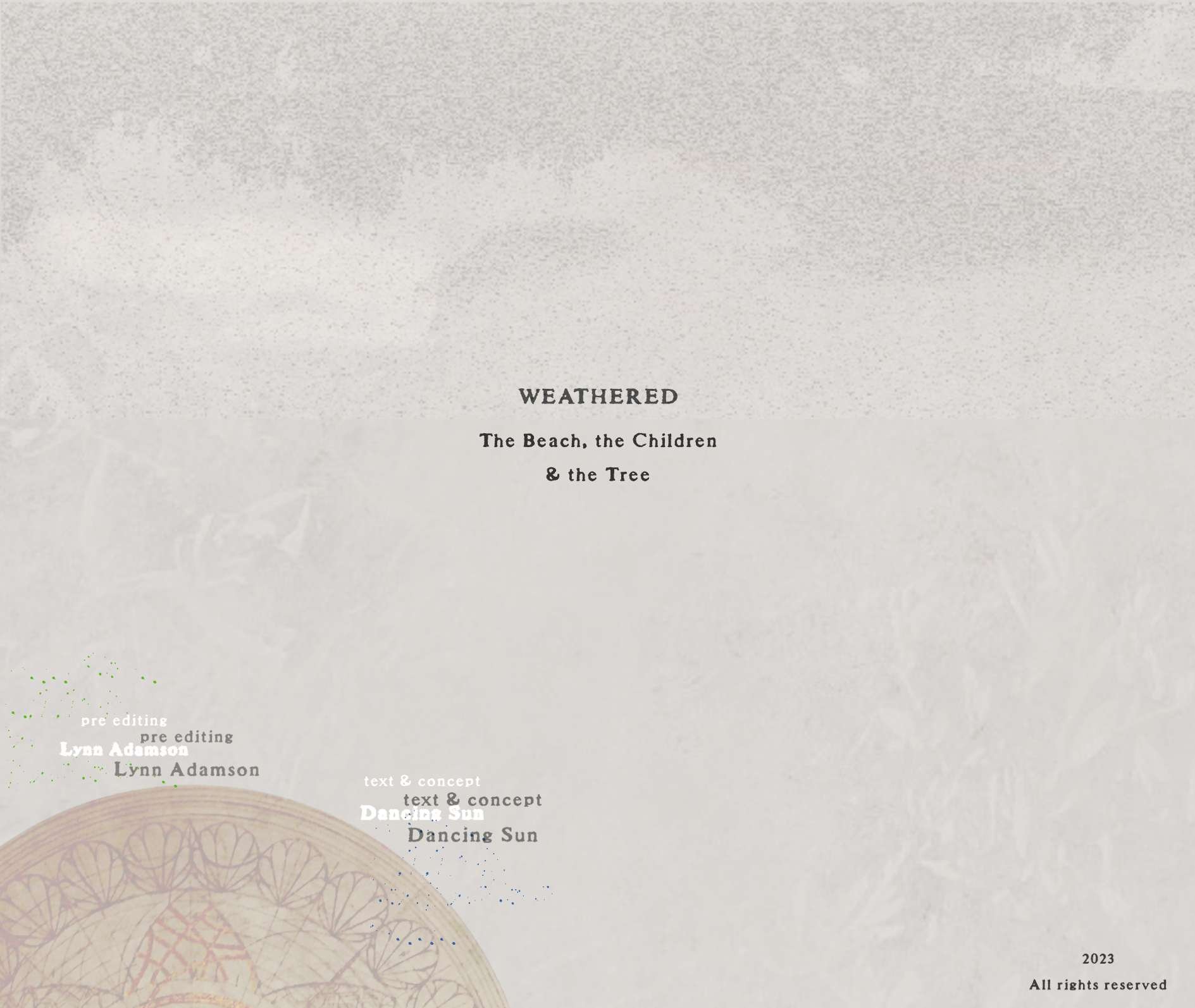 Weathered 92 HP 1 Seite 2.jpg