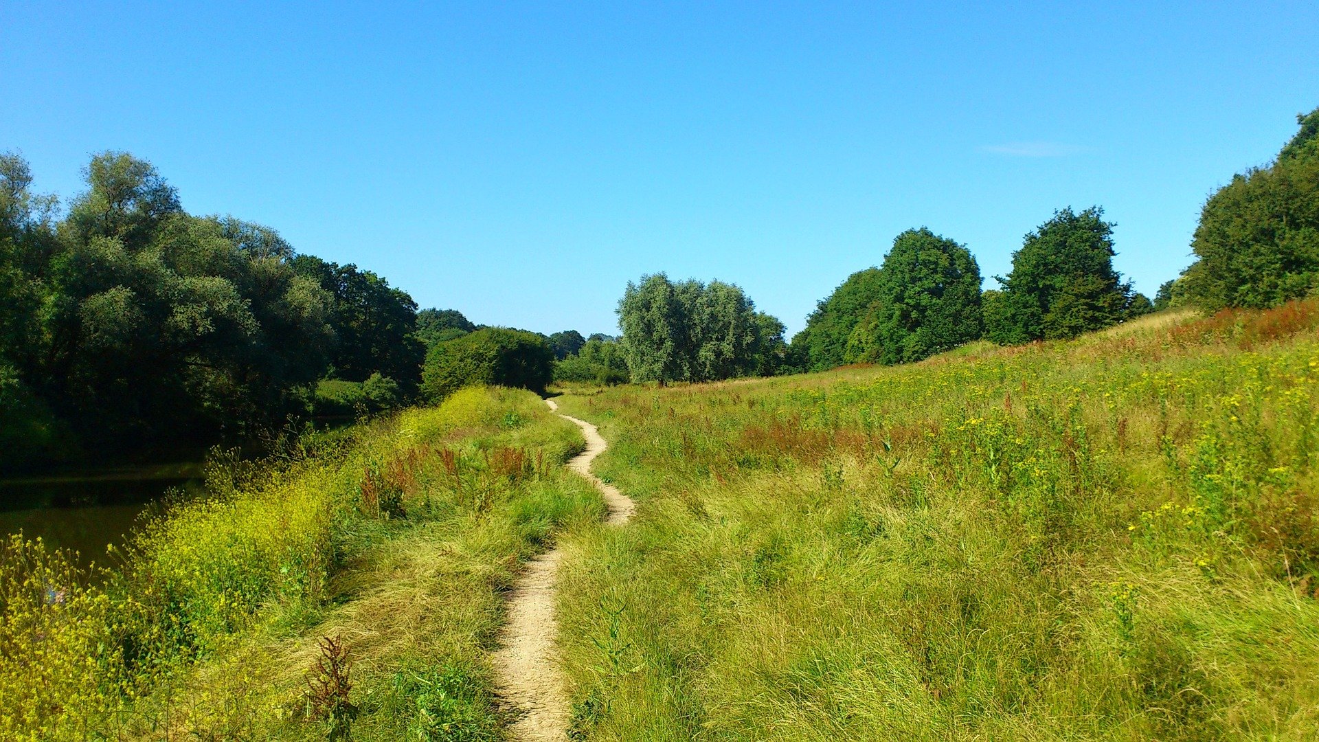 Kent countryside