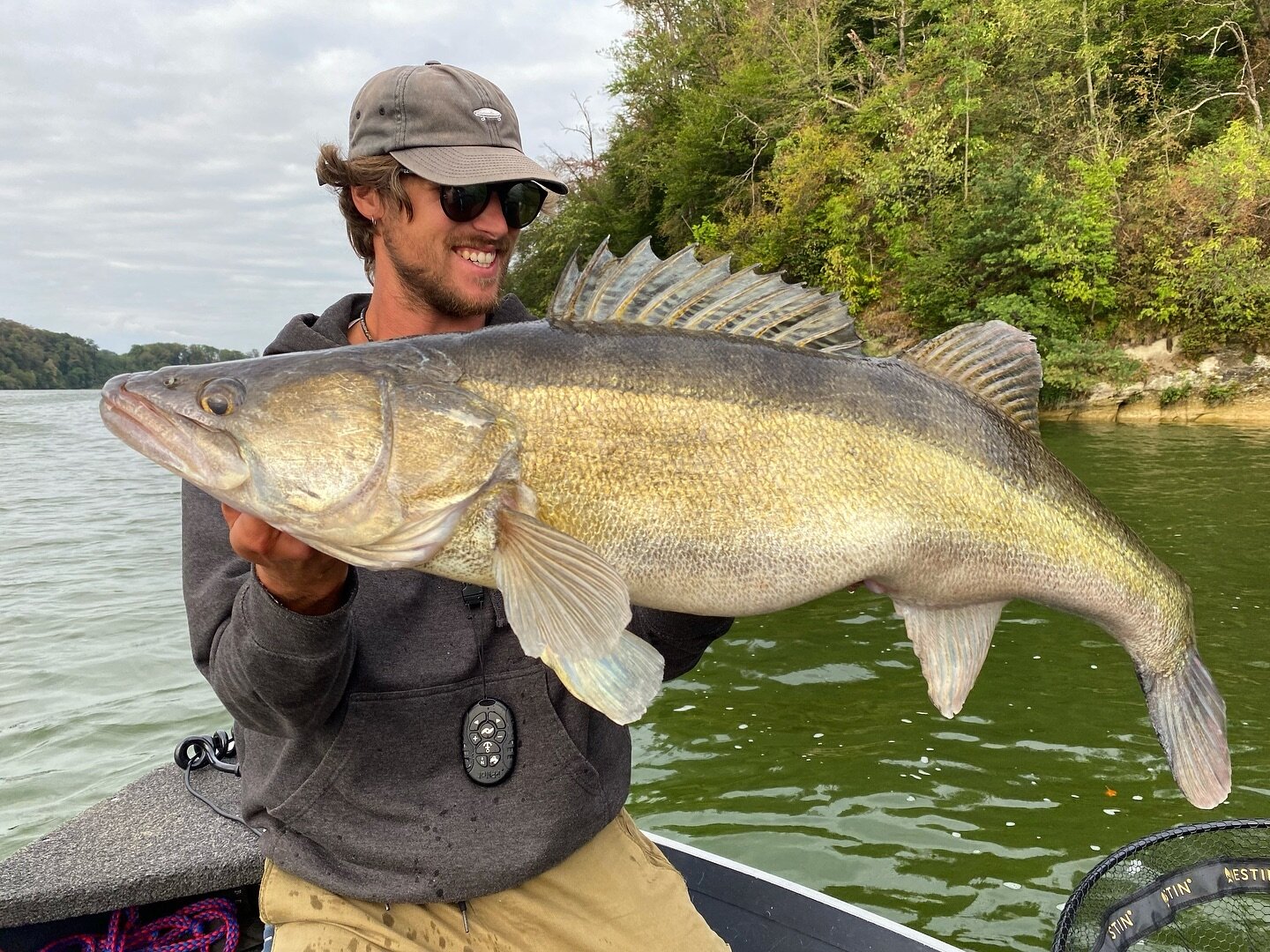 Sometimes you just have to expect the unexpected 🤯

While fishing for pike with a 30cm big bait it was quite a surprise to see that it was a massive zander that took my lure. Definitely not what I was expecting.. it was exceeding all what I could ha