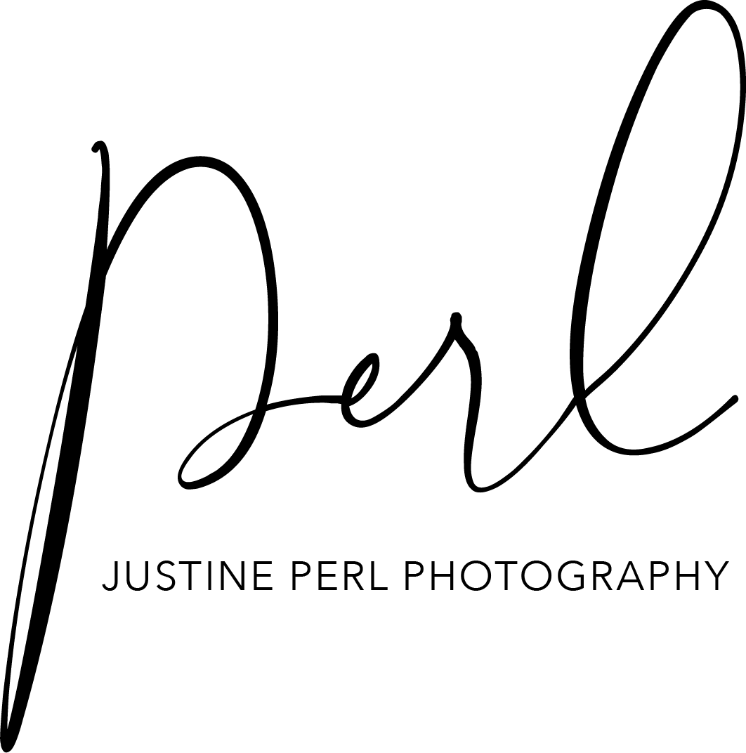 Perl Logo Transparent