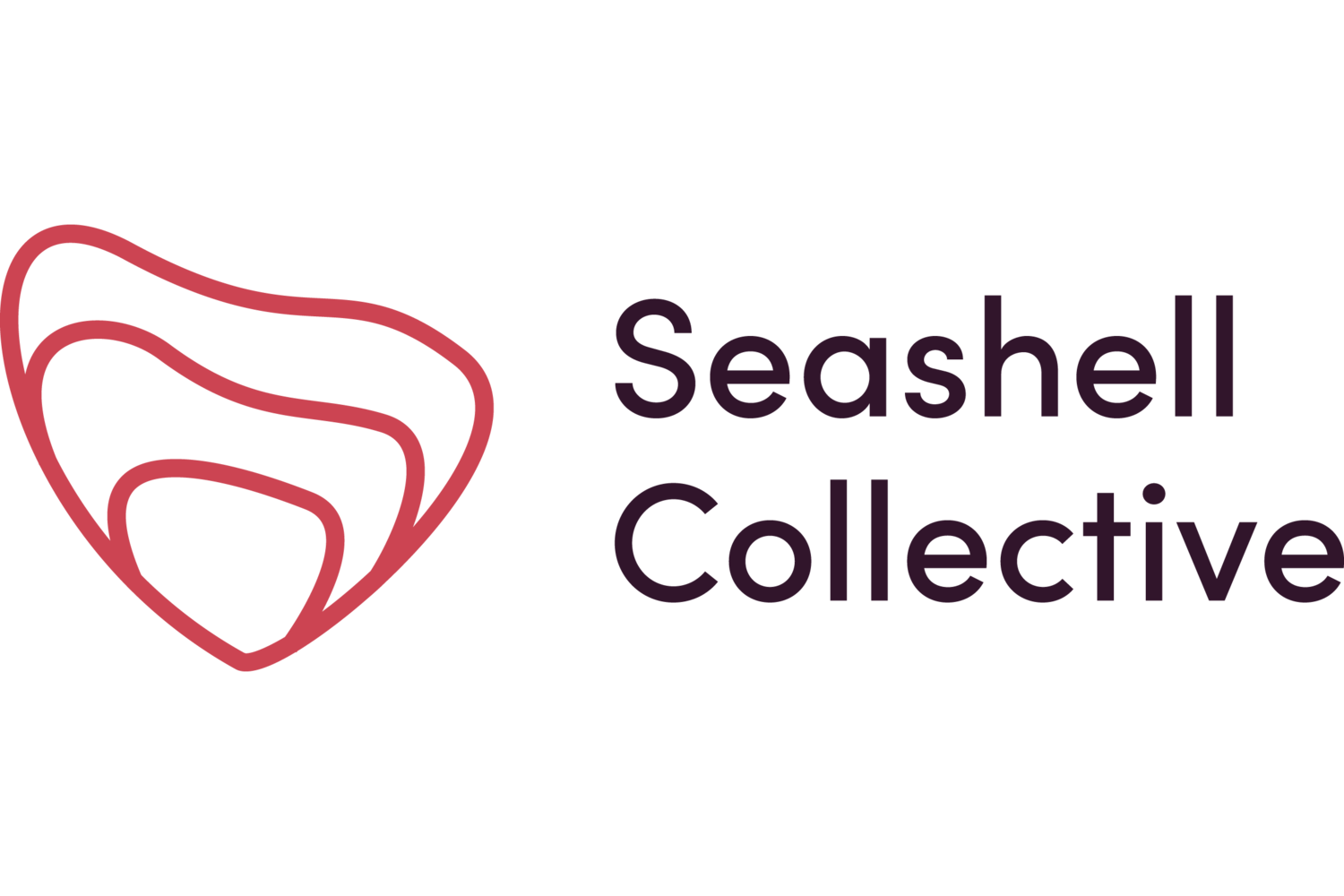Seashell Collective | Helen Olszowska