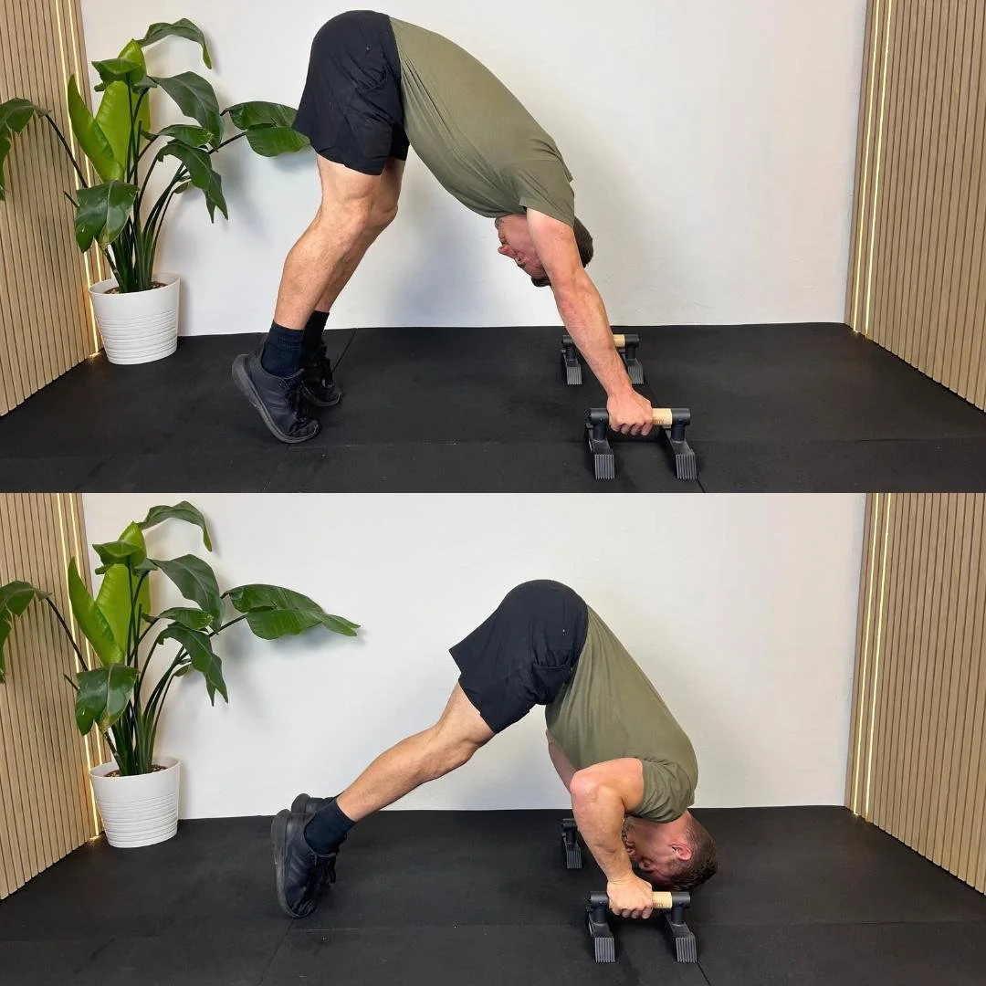 5 Beginner Parallettes Exercises TOM PETO PERSONAL TRAINER