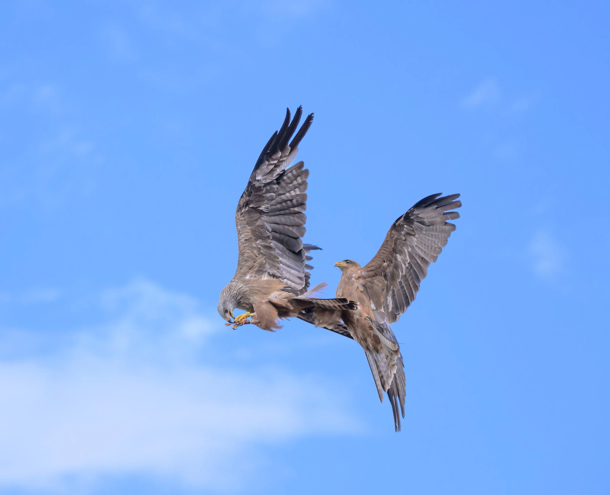 20250829-_DSC5104.jpg