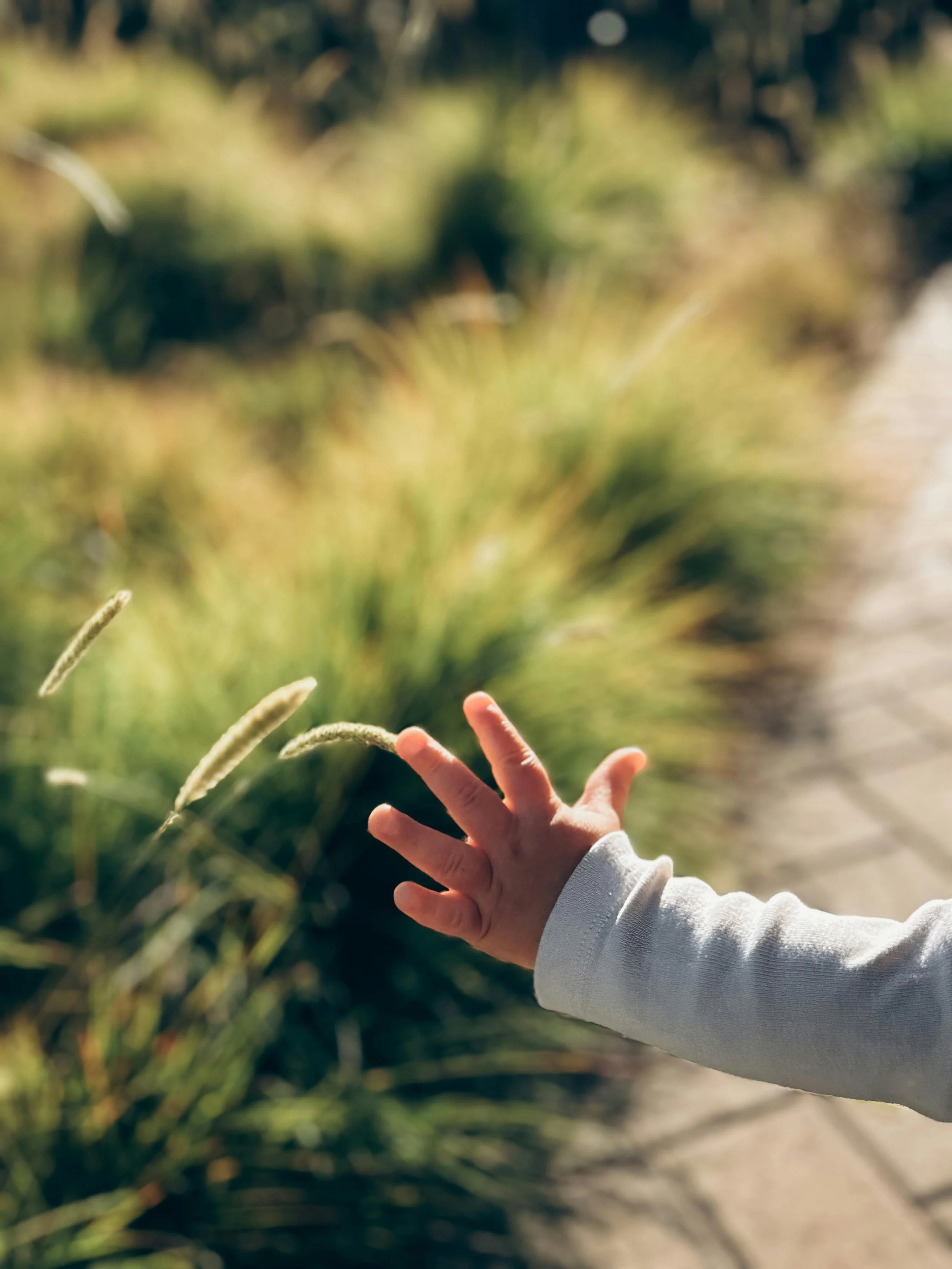 Sensory Symphony: Unveiling the Marvels of Our 8 Senses!