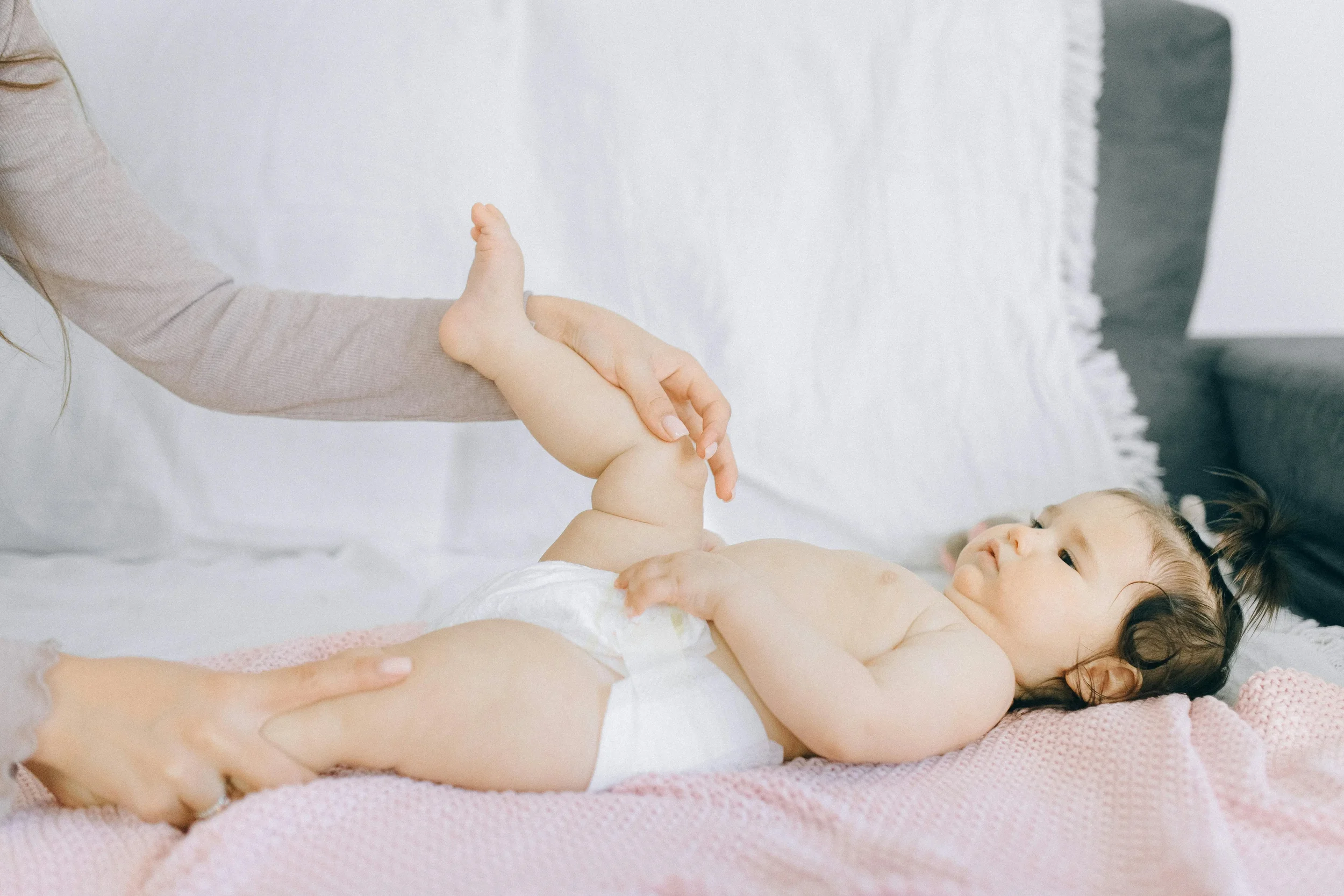 Hip Dysplasia: Information is the Key