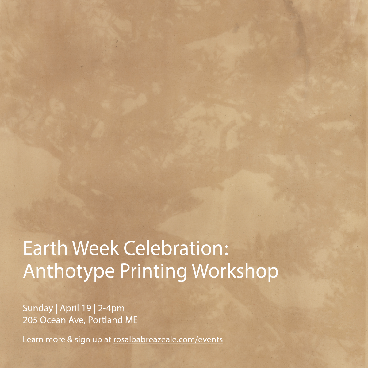 Earth Week Celebration: Anthotype Printing