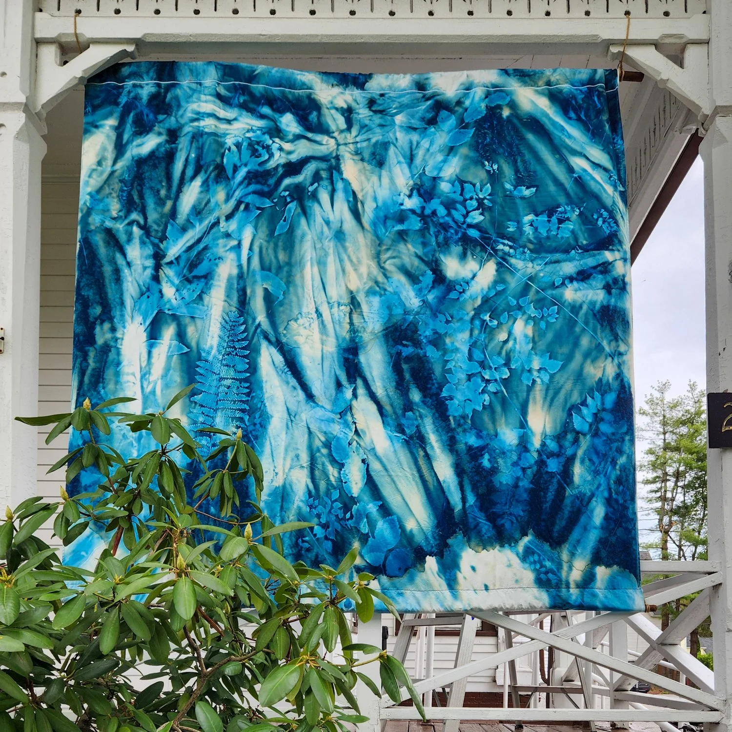 RosalbaBreazeale_SolarFastDye.jpg