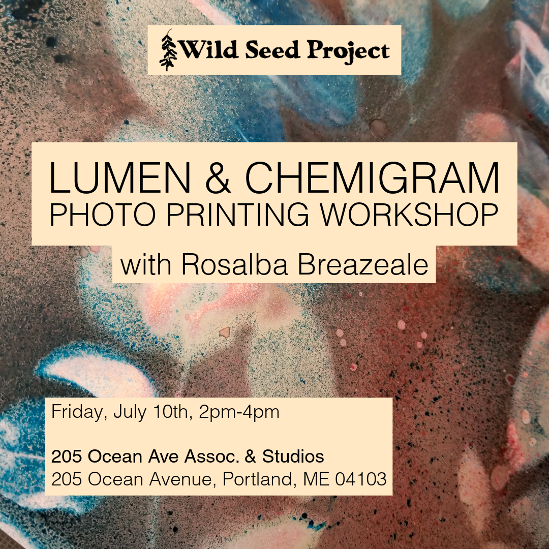 Lumen Photo Printing with Plant Materials