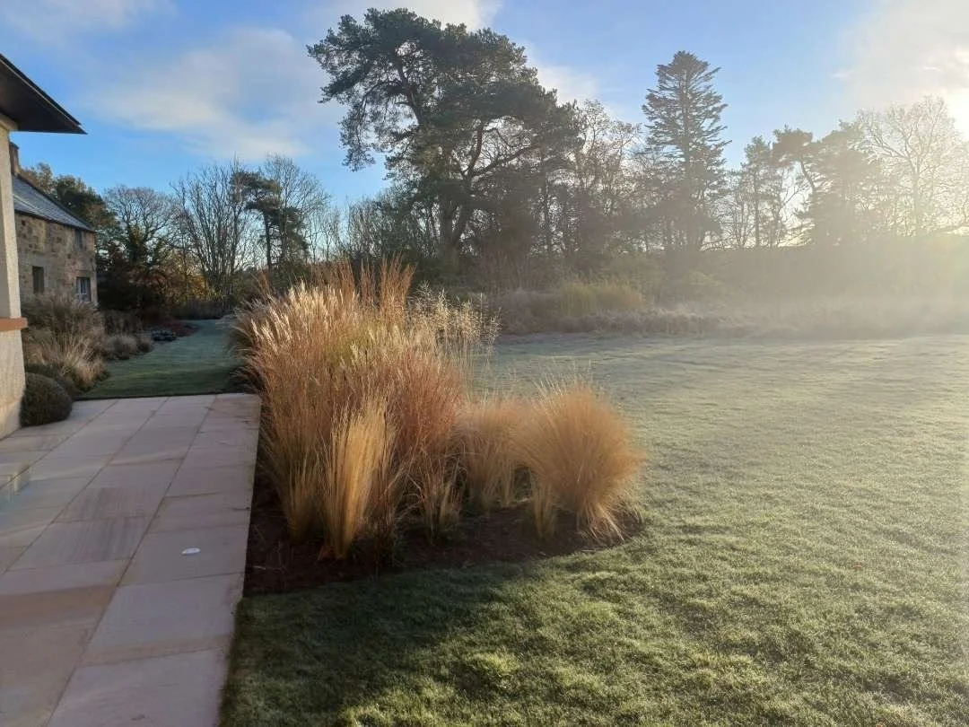 Autumn - Autumn is our favourite season here at Down To Earth Gardening.