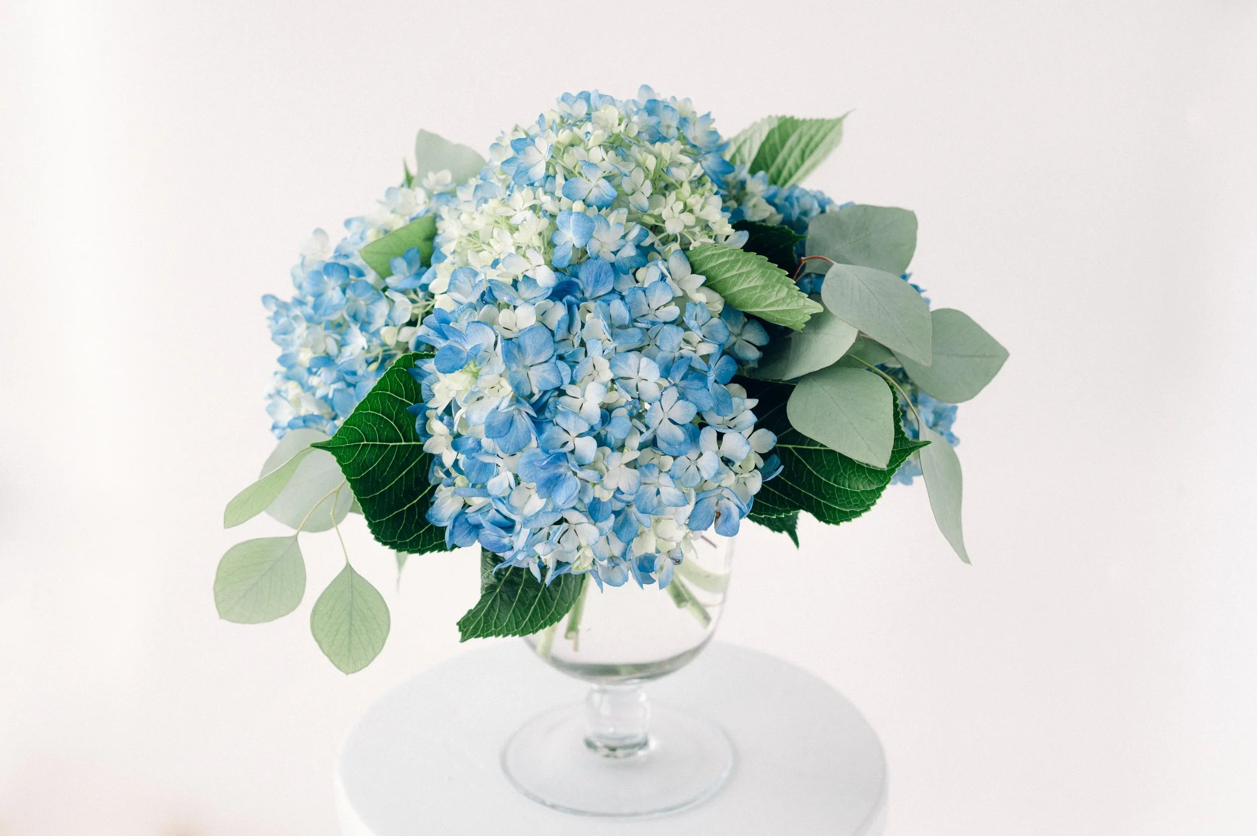 Breezy Blue Hydrangea Centerpiece in Glass Compote