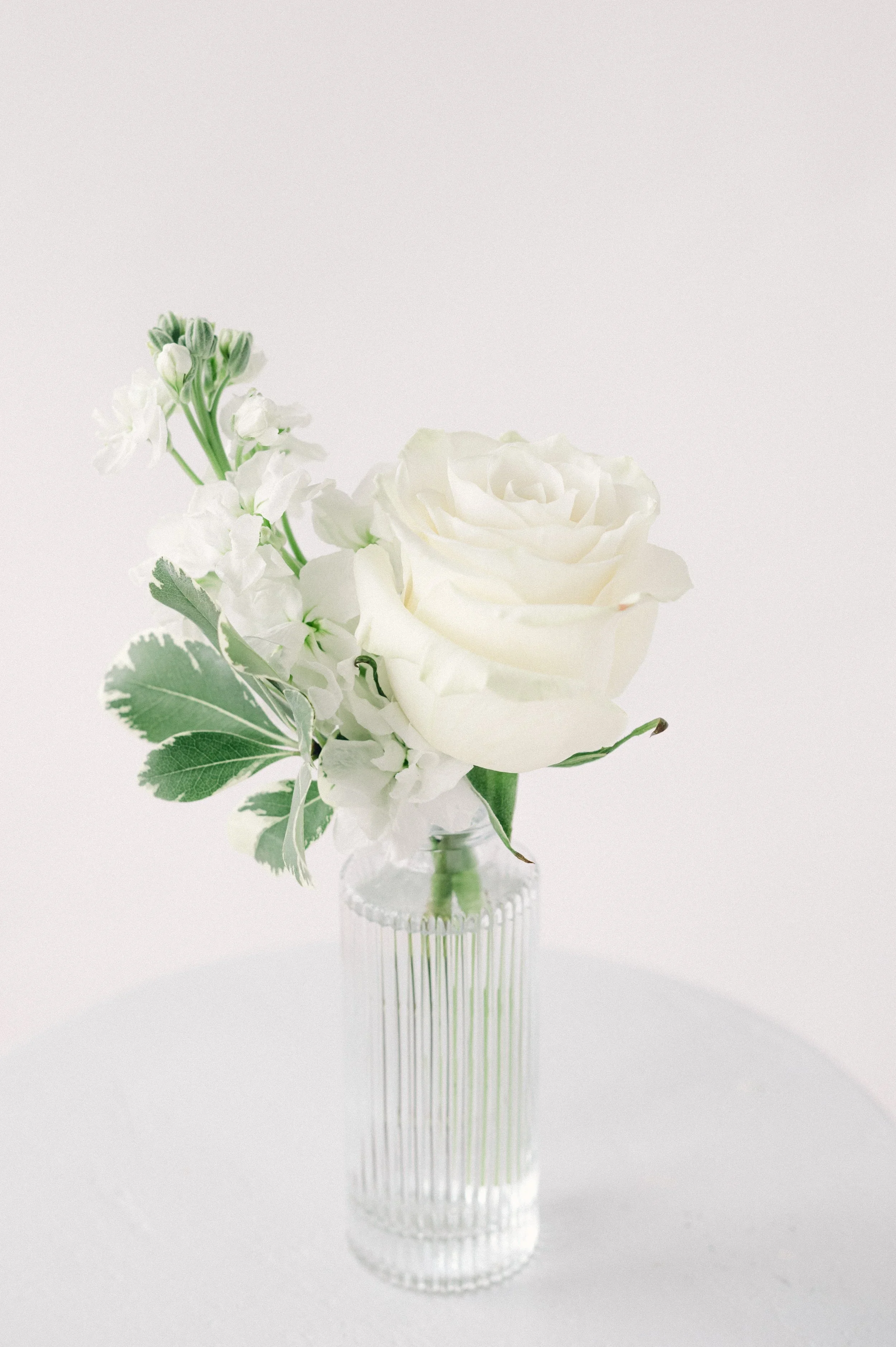 Classic Mini in Pleated Bud Vase
