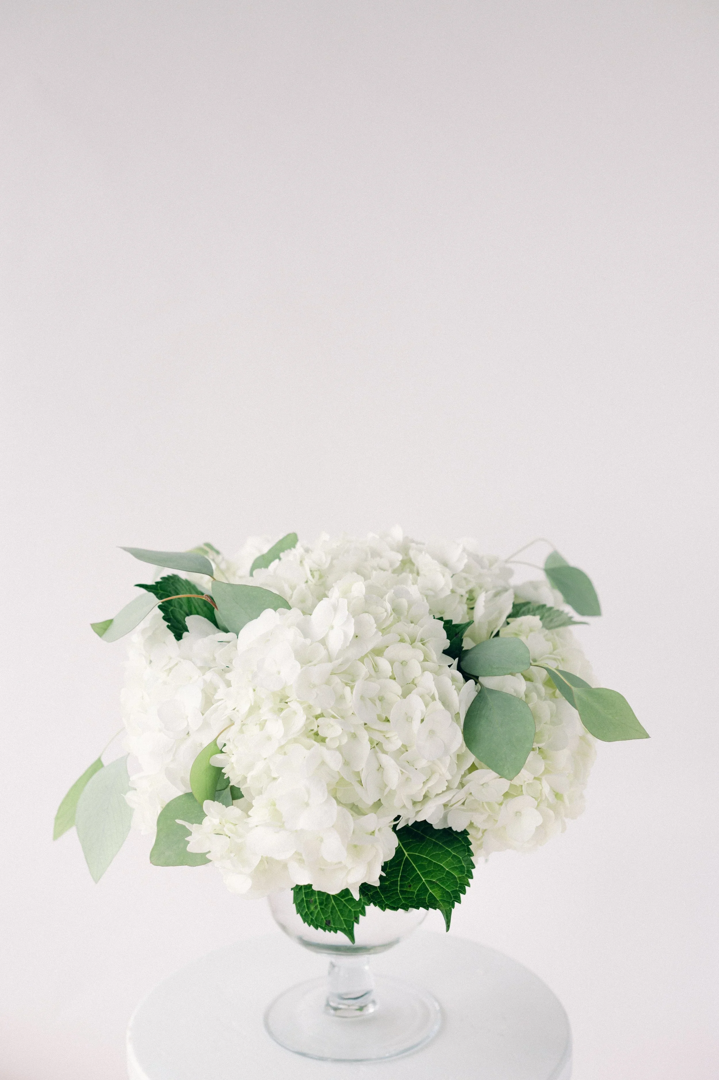 Classic Hydrangea Centerpiece in Glass Compote