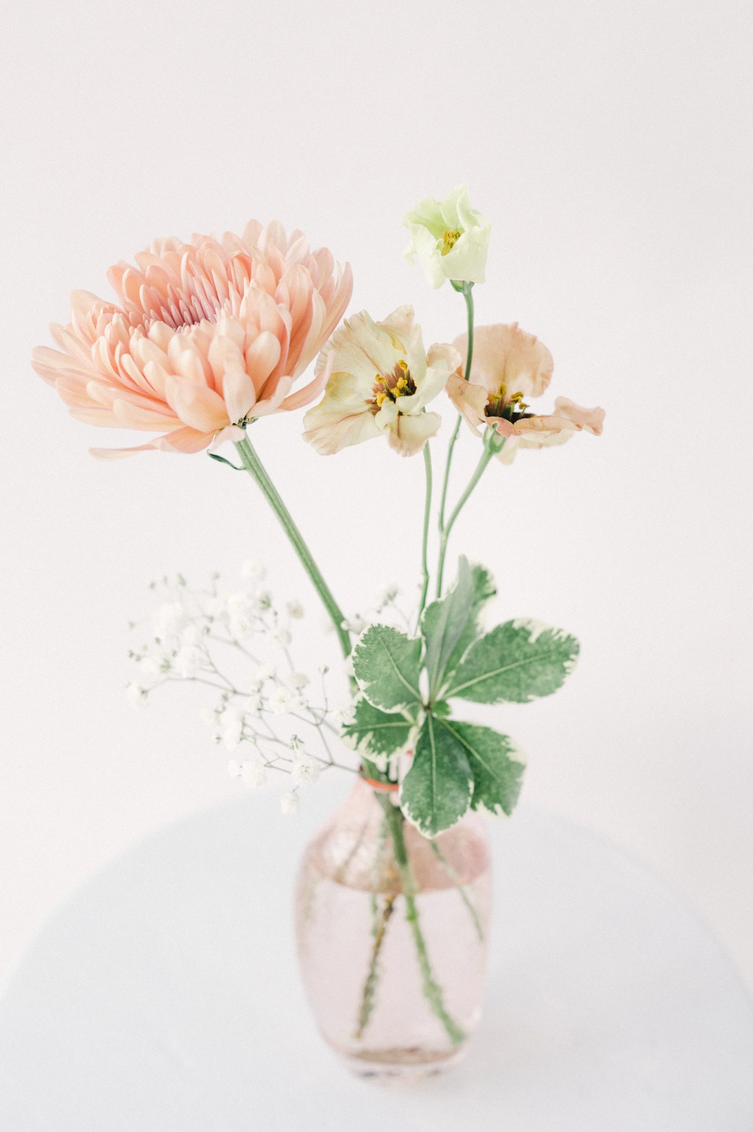 boston-florist-lookbook-12.webp