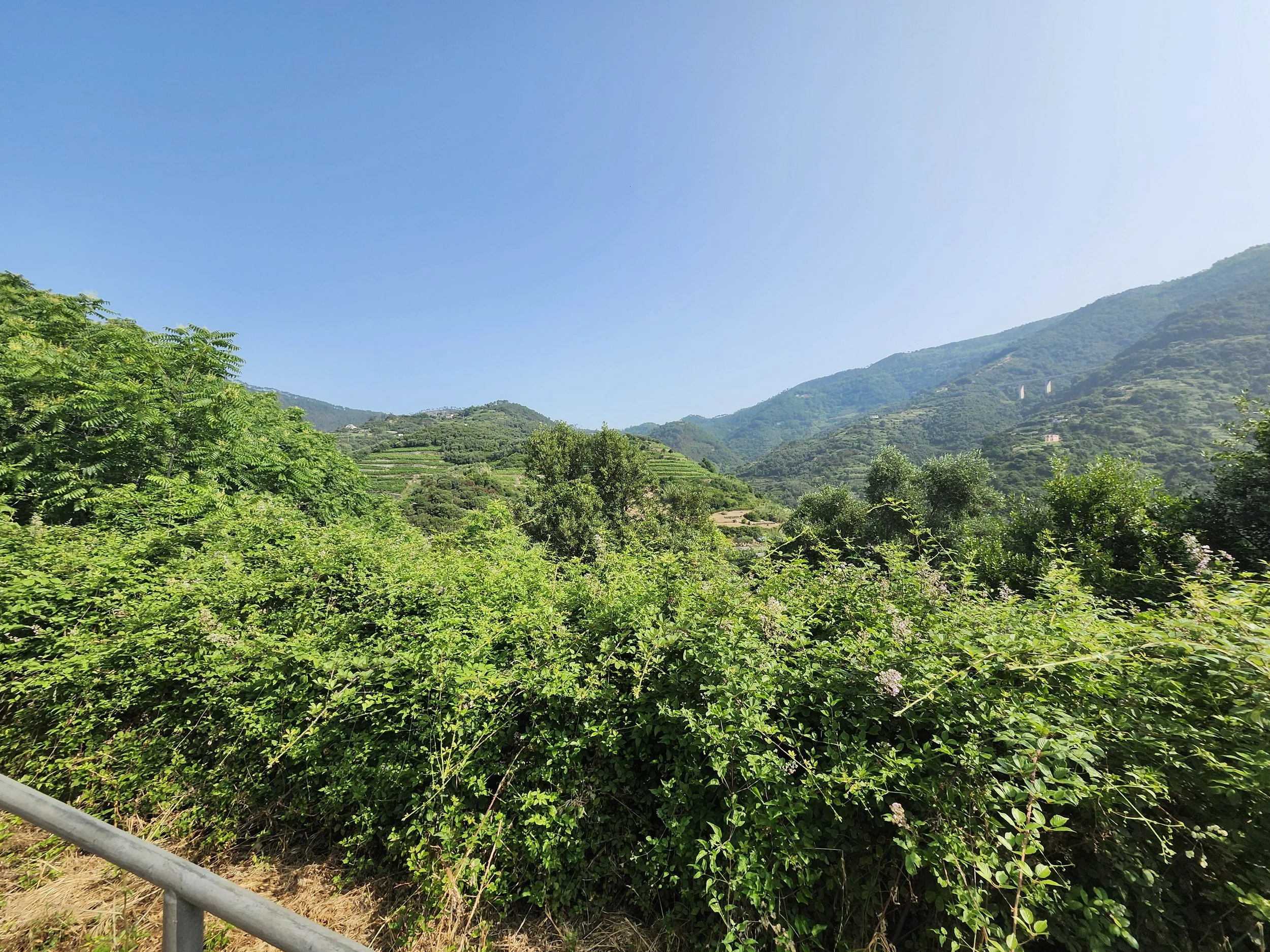 Wishing Work or OCD To Slow down