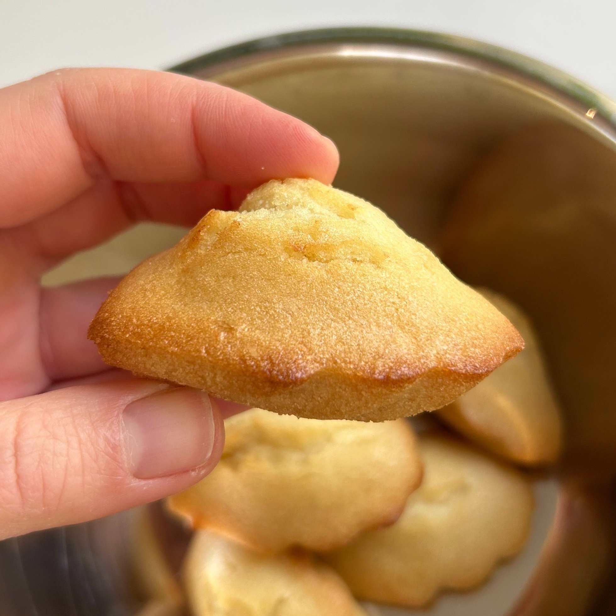 Madeleines.jpg