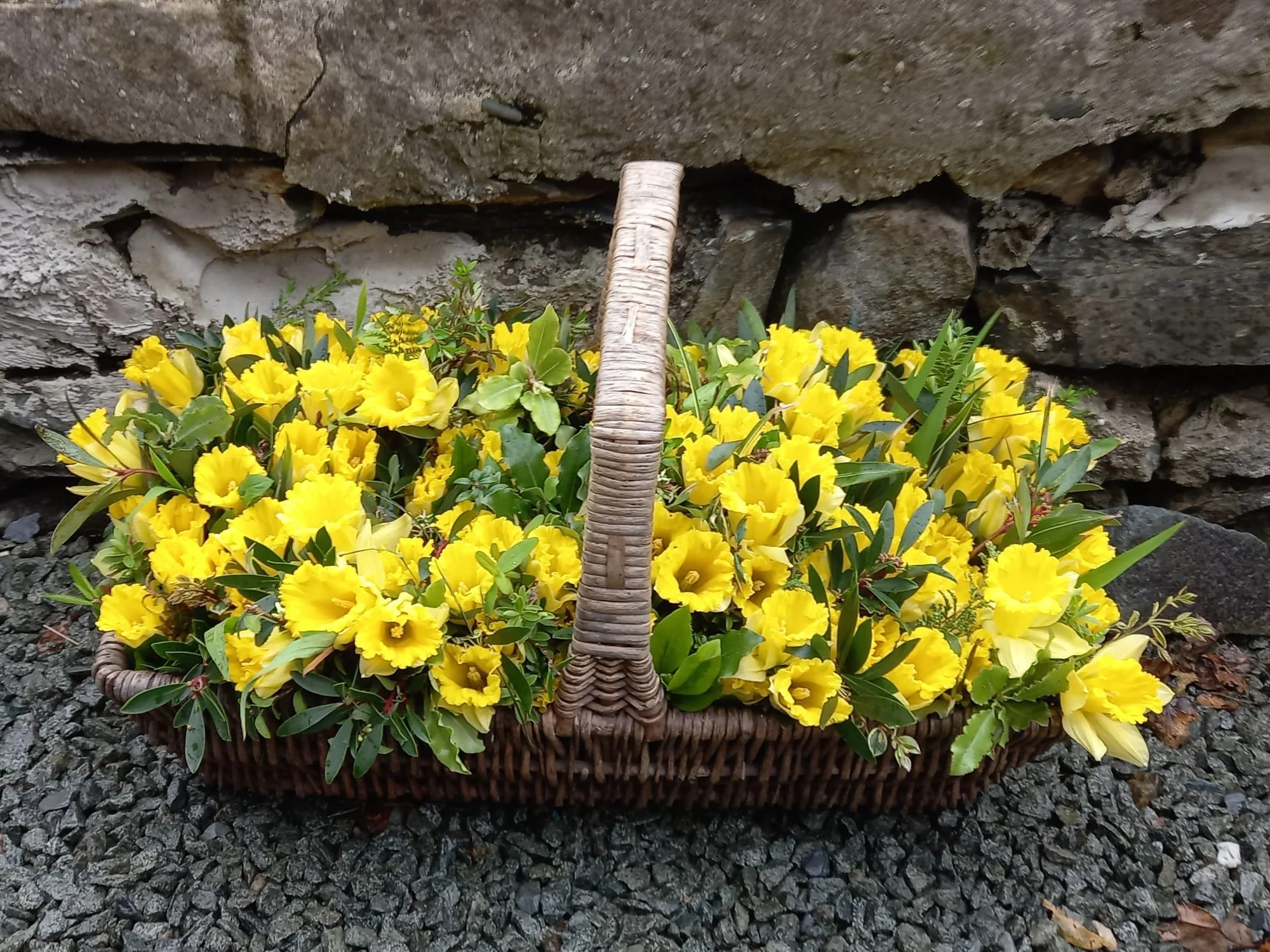 Daffodils.jpeg