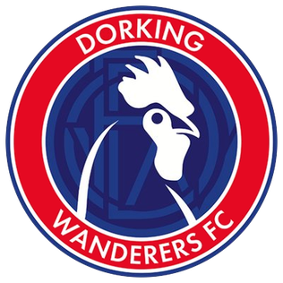 The Rise of Dorking Wanderers F.C.
