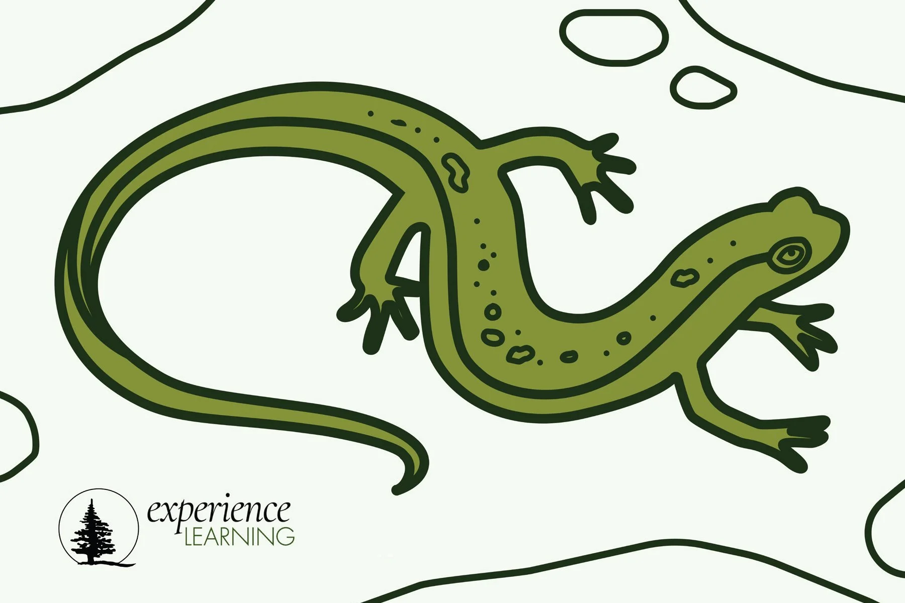 ExperienceLearning_PostCard-Salamander.jpg