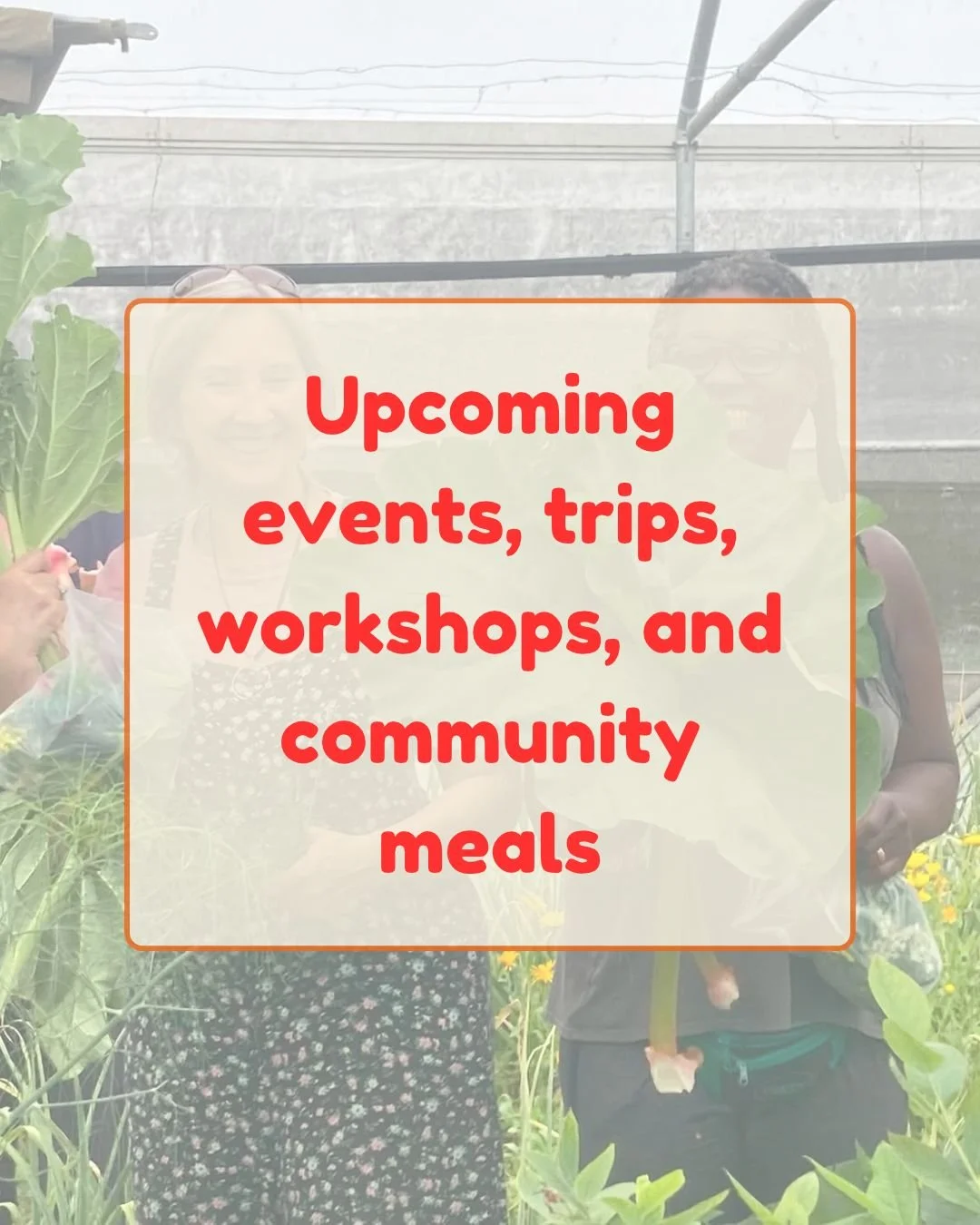 Community Fridge opening times and information (1).jpg