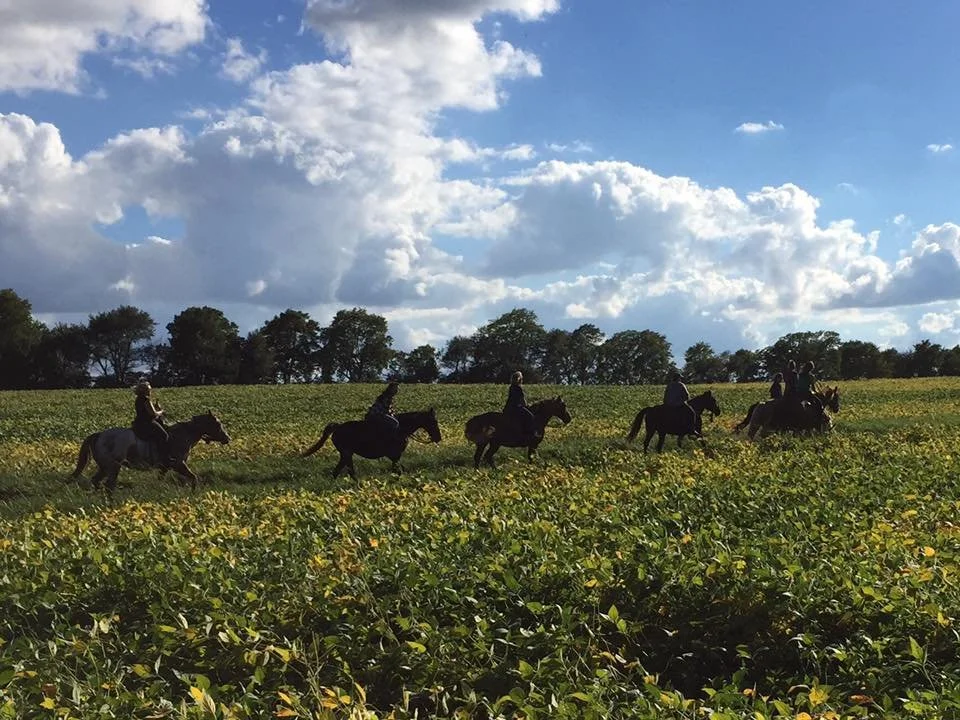 Horse Boarding at BrighterDaze Farm Over 400 Acres of Trails